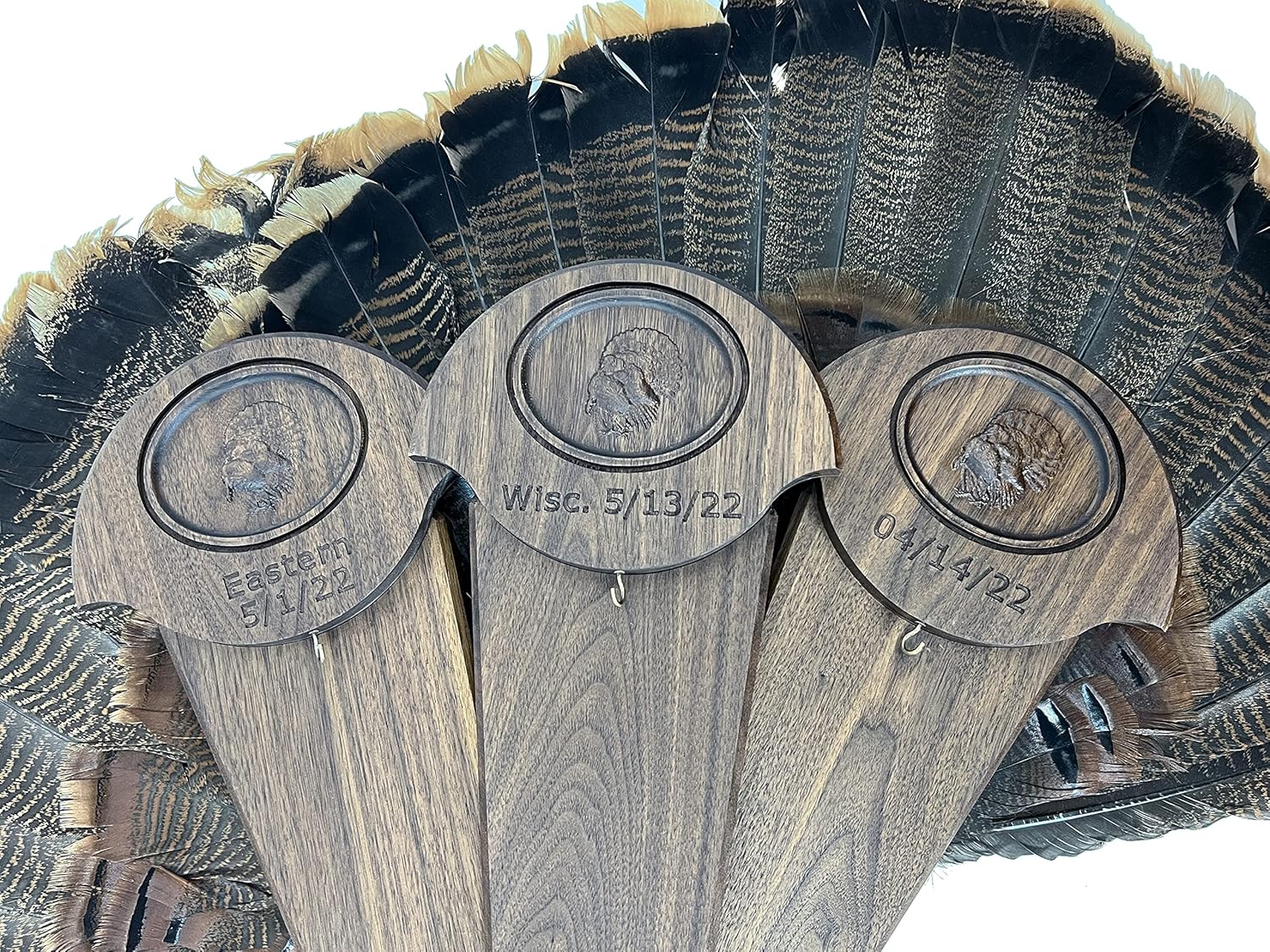 Carved Turkey Tail Mounting Kit w/Beard and Spur Display Options - Customizeable for All Species! (Walnut)