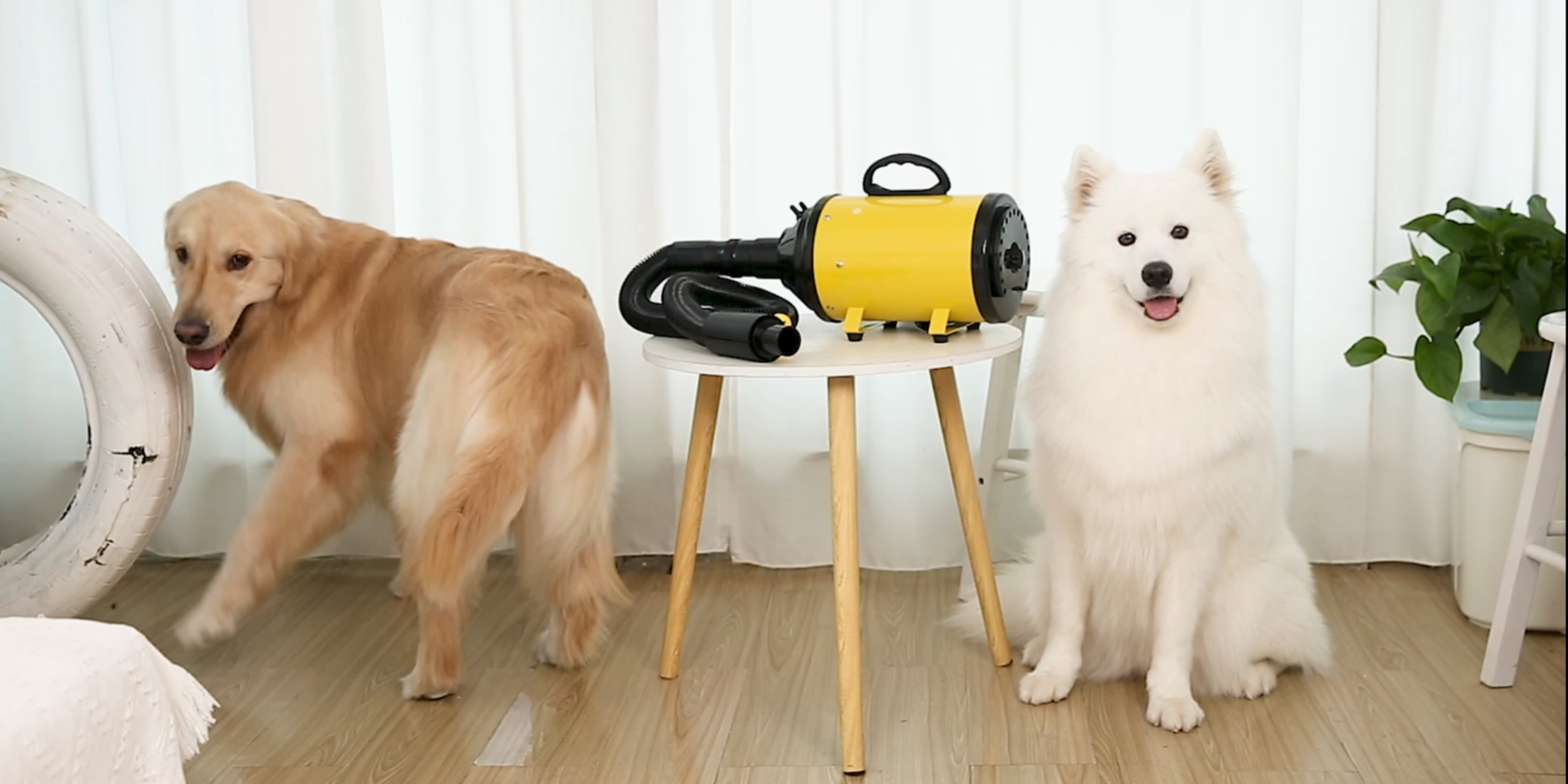 SLDPET Dog Dryer for Large Medium 4.3HP/2800W Dogs Hair Dryer Grooming High Velocity Professional Pet Blower with Heater… - Image 7