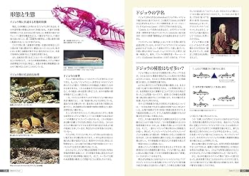 日本のドジョウ 日本のタナゴ 2冊セット 日本のドジョウ / 内山りゅう/中島淳 ＜電子版＞ - 紀伊國屋書店