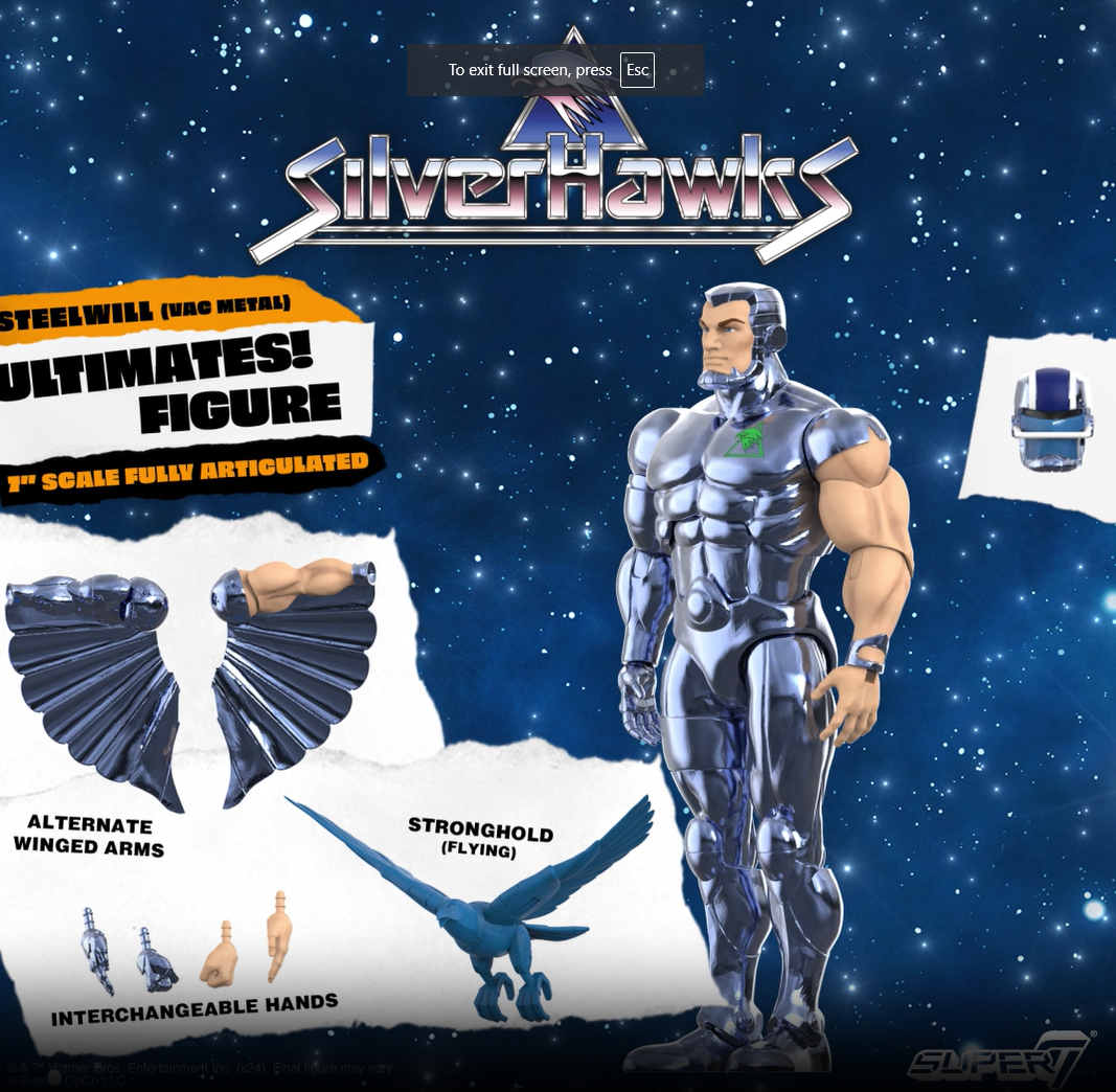 SILVER HAWKS Windhammer シルバーホーク　レア　絶版　完品 Amazon.com: Super7 SilverHawks ULTIMATES! Wave 2