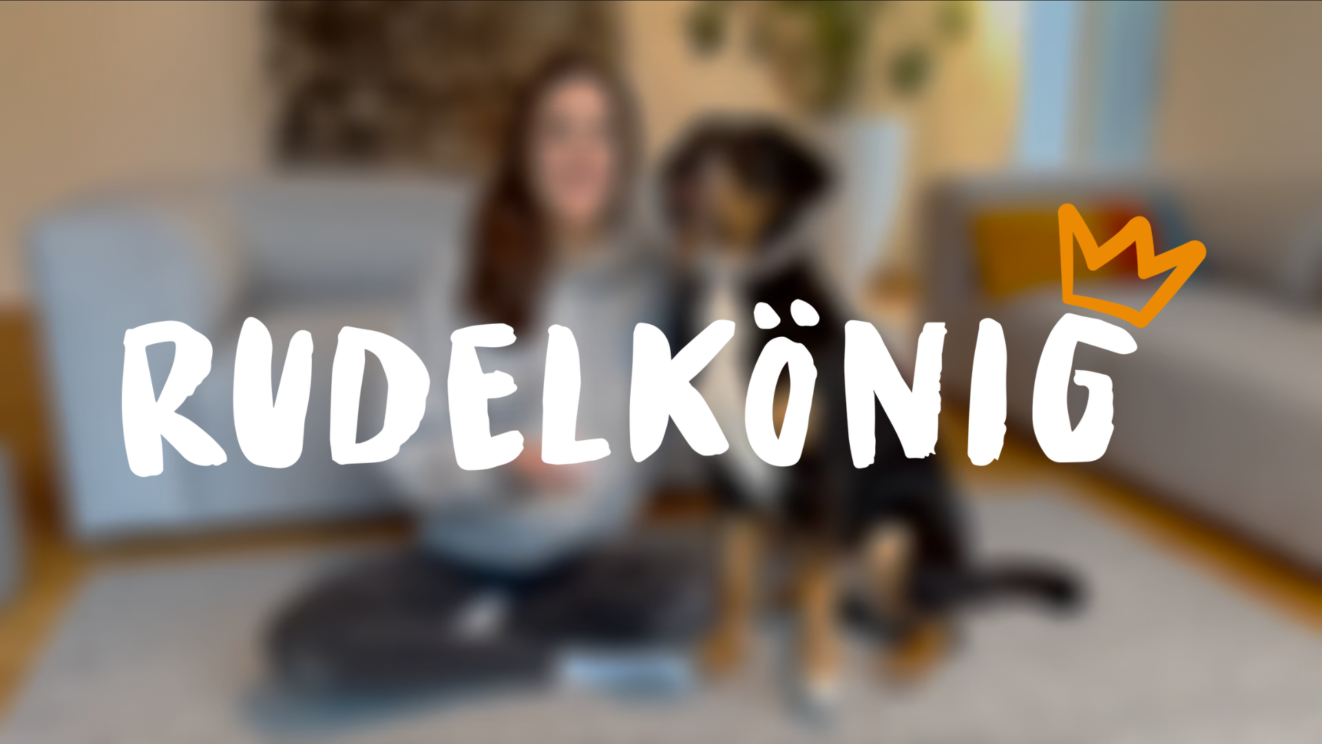 Petlando Outdoor Anti-Trektuig – Hondentuig tegen Trekken