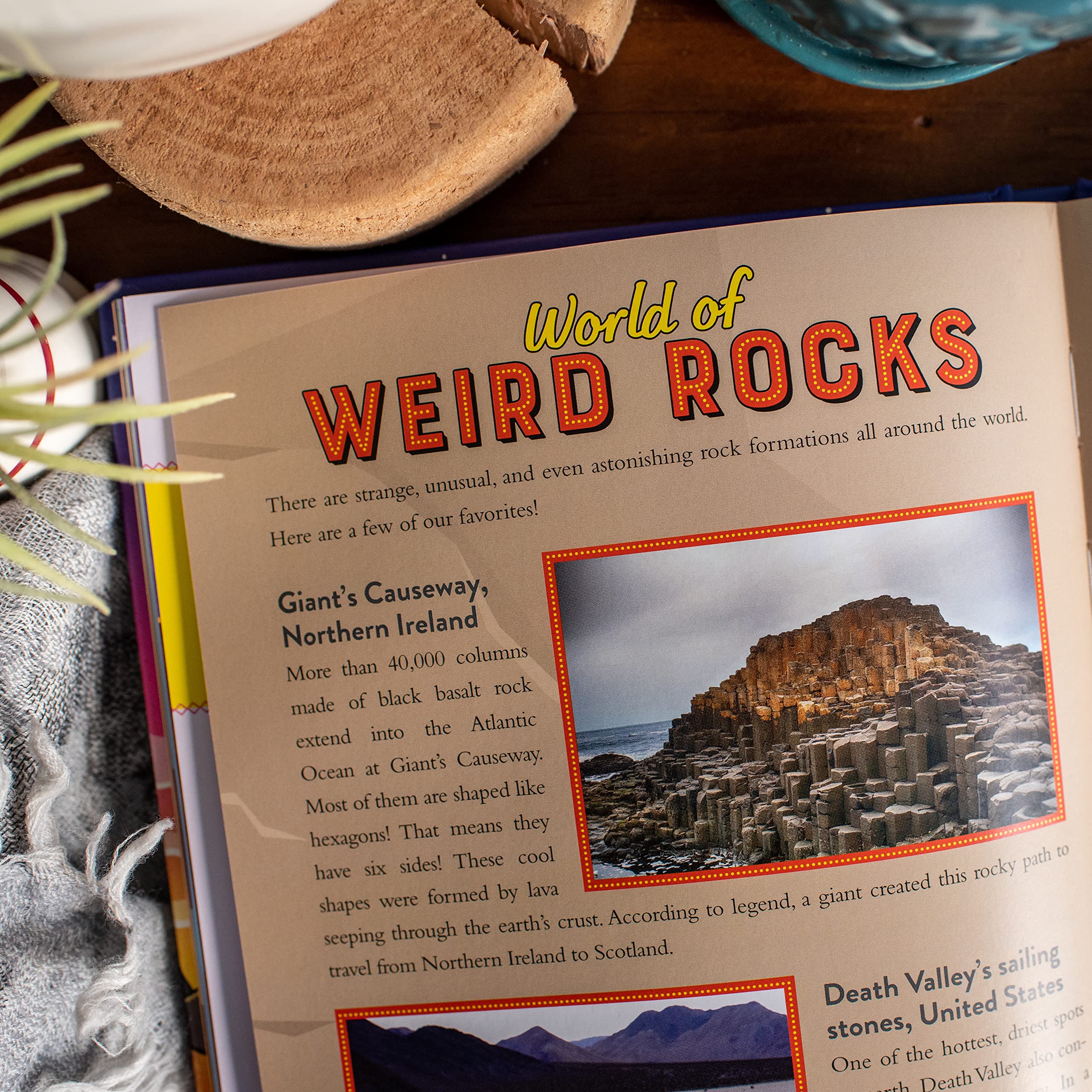 Brains On! Presents...Road Trip Earth: Explore Our Awesome Planet, from Core to Shore and So Much More - Image 7