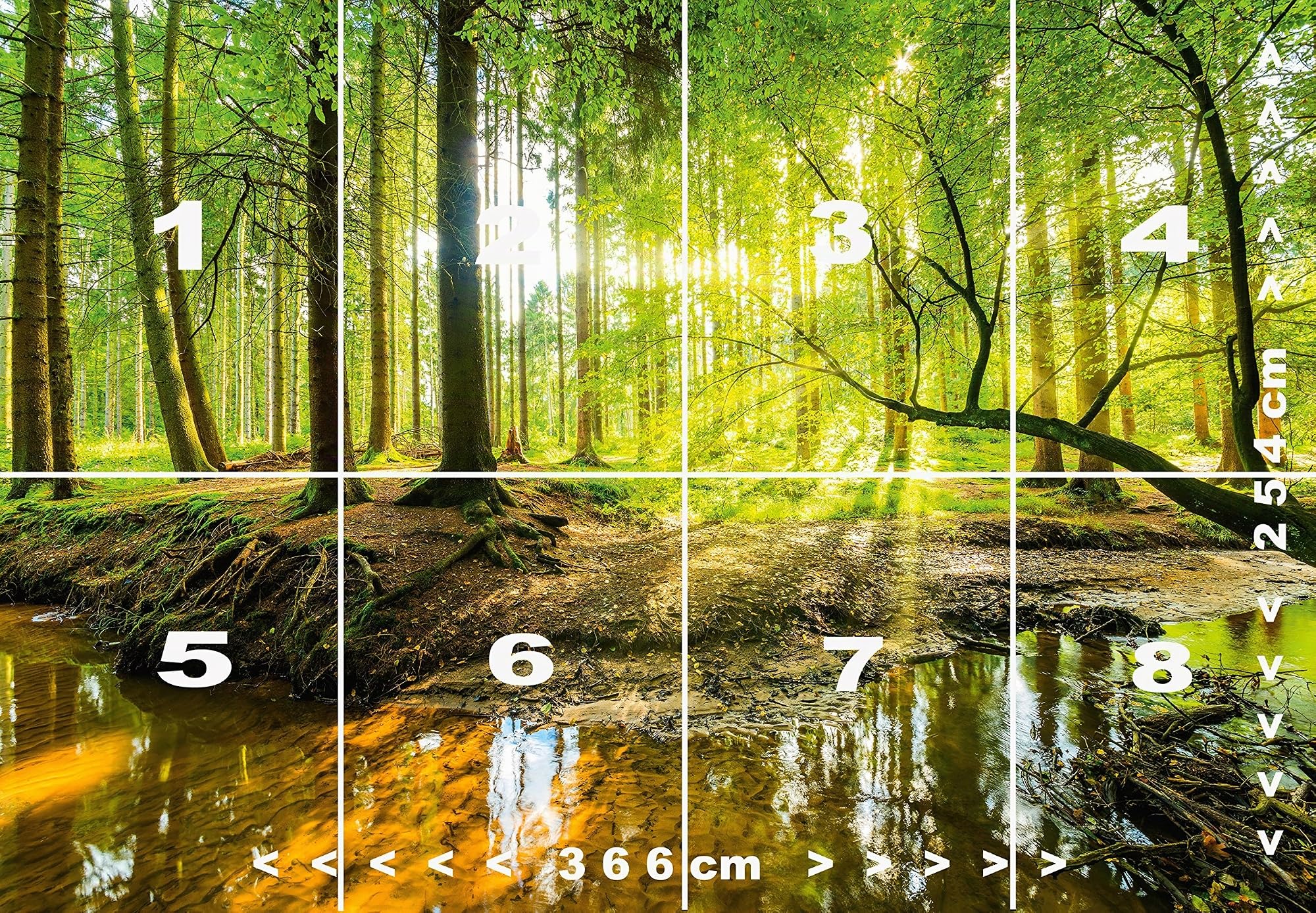 Papel Pintado Bosque 366 x 254 cm Incluyendo Pegamento Fotomurales Vista 3D Madera árboles luz del Sol Sala Living Oficina Dormitorio