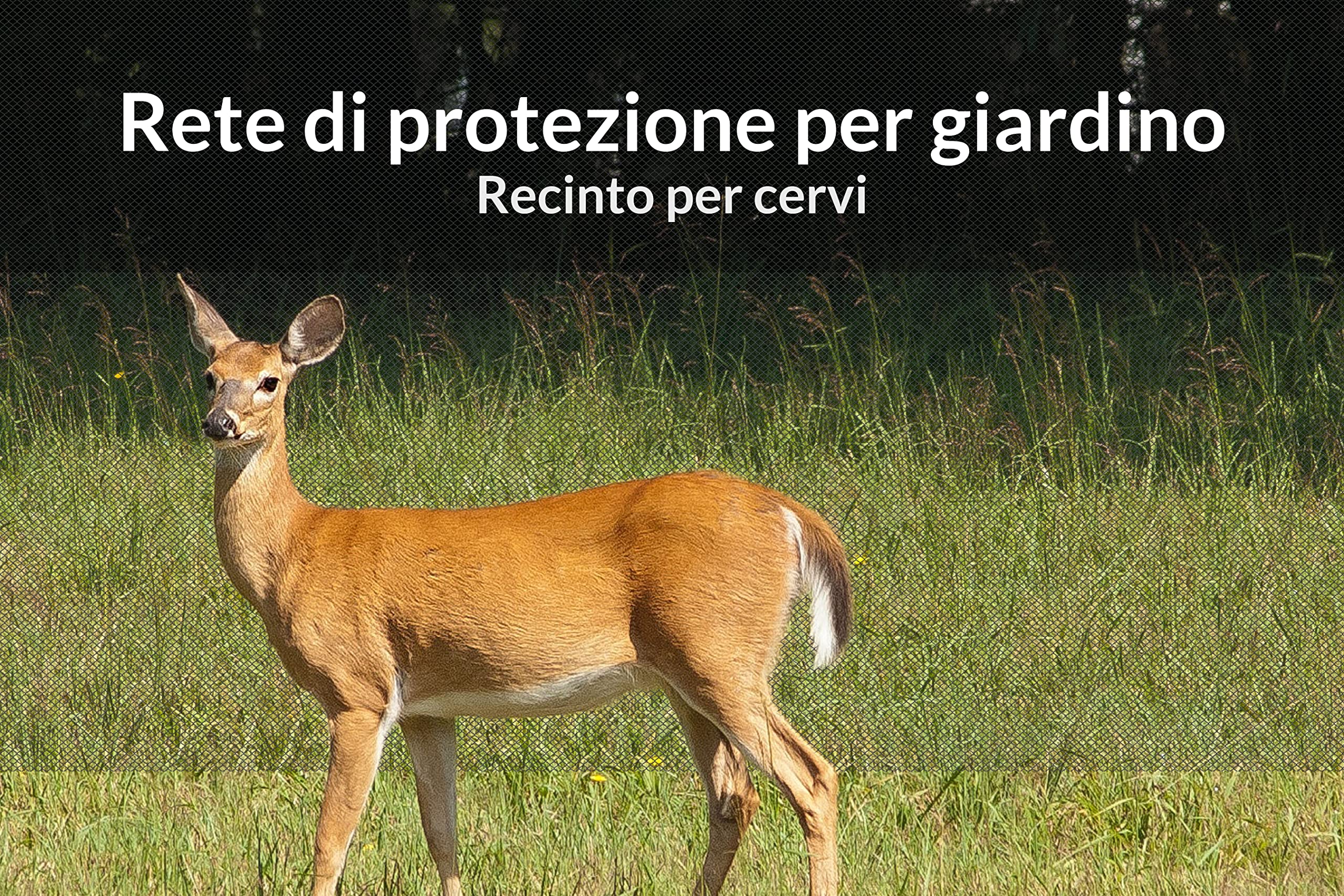 AlpineReach Rete da giardino, 2 m x 20 m, extra resistente, per proteggere piante e alberi da frutto contro animali e recinzioni di cervi, riutilizzabile, con fascette per cavi, verde