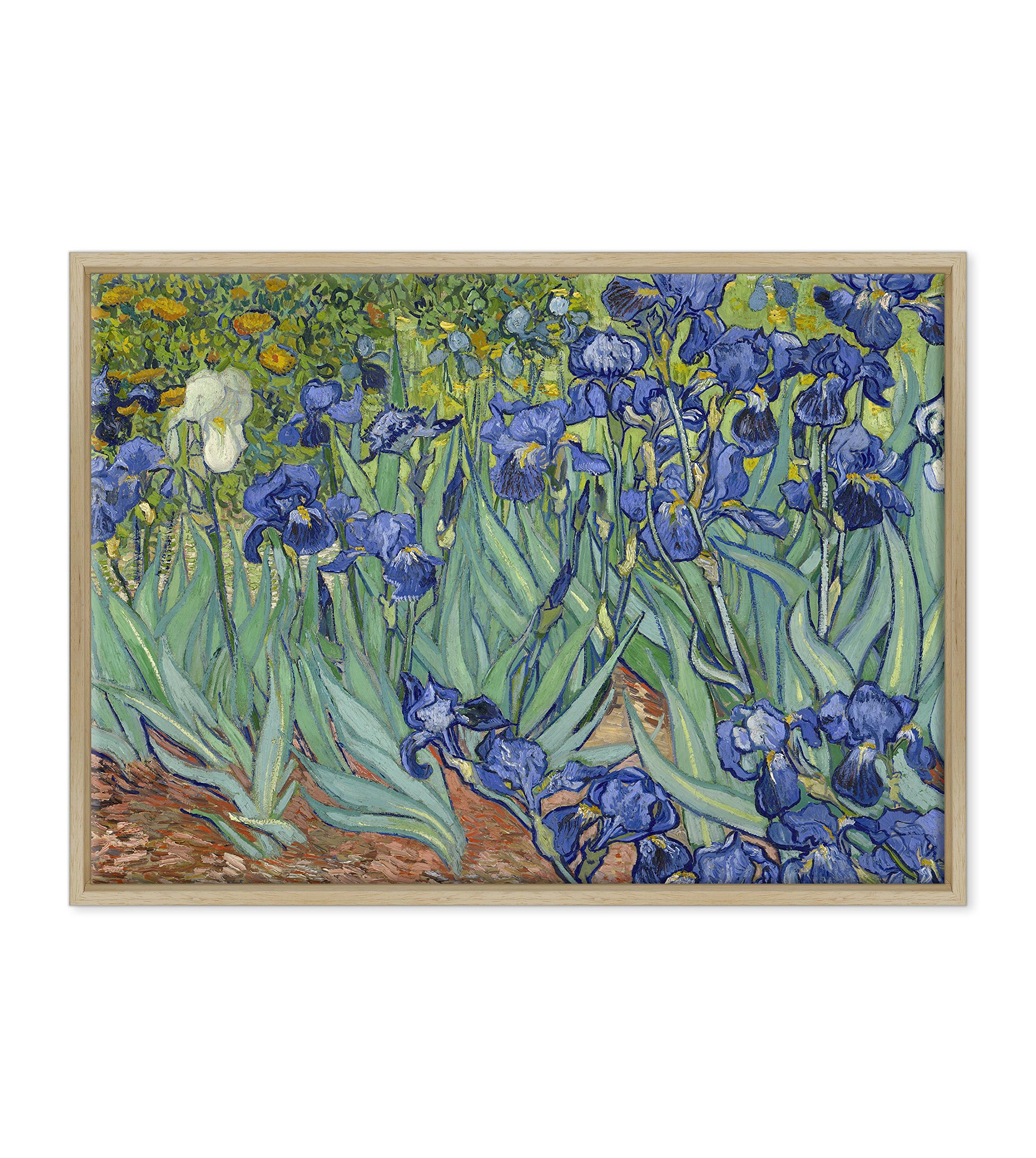 Quadro su Tela Canvas INTELAIATO - con Cornice - Irises - Fiori di Iris per Van Gogh - 50x70cm - Stile Moderno Legno Naturale - (cod.2650)