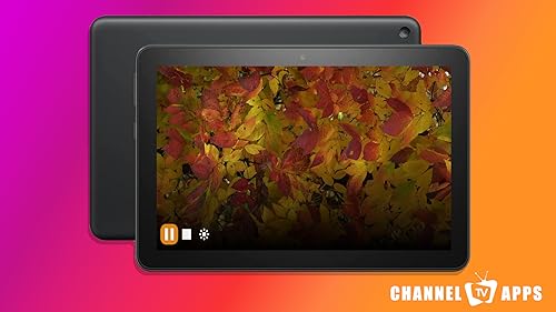 Cozy Early Morning Autumn Sounds | Crunchy Leaves & Peaceful Fall Music