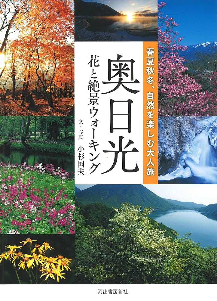 風と大地の光とうた　絶版品 国内盤CD☆山野さと子、森みゆき、橋本潮、瀧本瞳/□ 最新