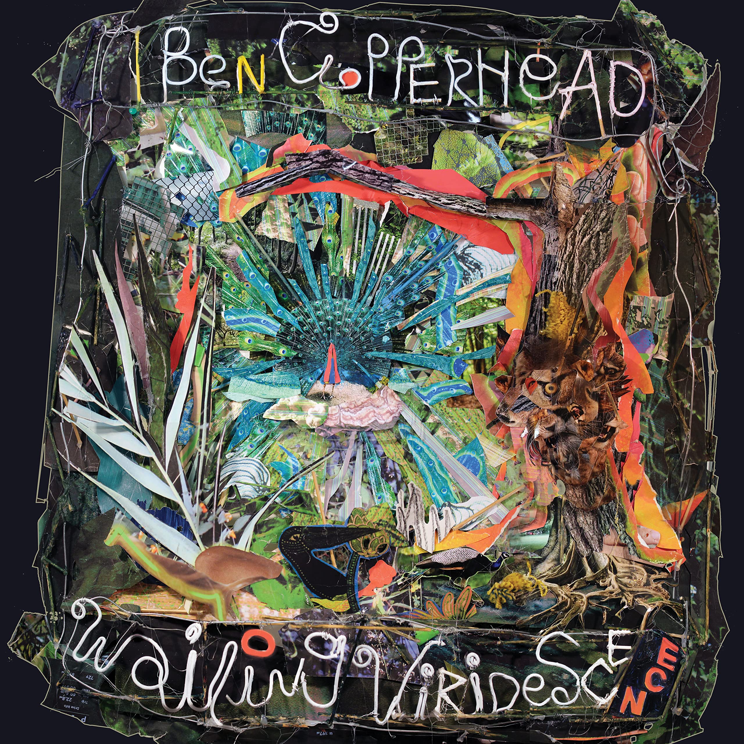 Wailing Viridescence [VINYL]