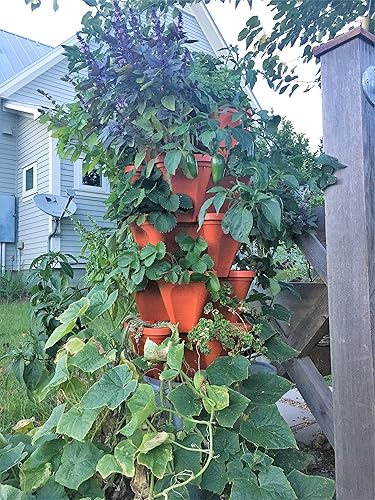 Miniatura 4 de Maceta apilable grande de 64 cuartos de galón, paquete de 5 unidades, crece más en menos espacio, macetas y apila, sistema de jardinería vertical de