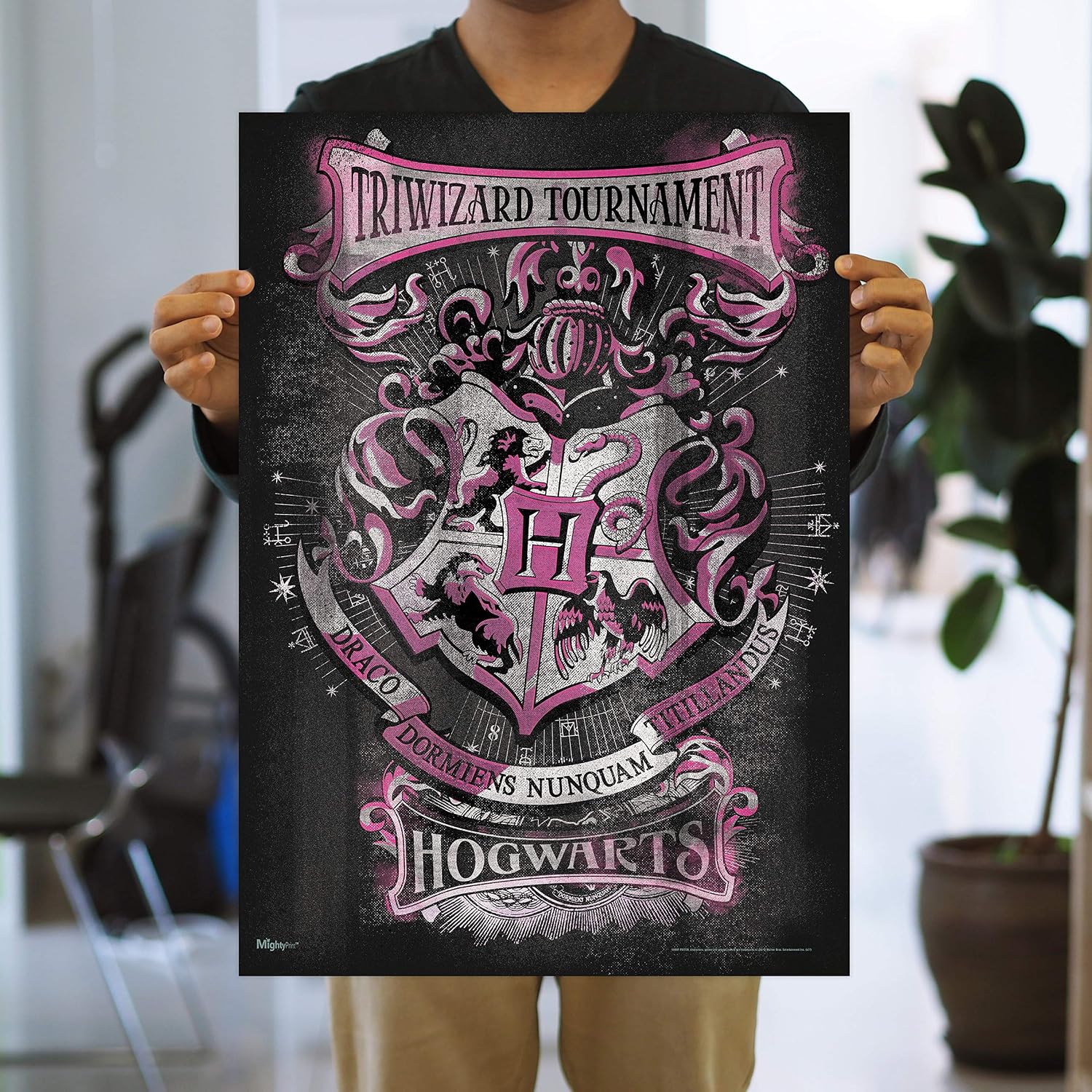 MIGHTYPRINT Harry Potter Tri Wizard Tournament 17 x 24 Wall Art image 2