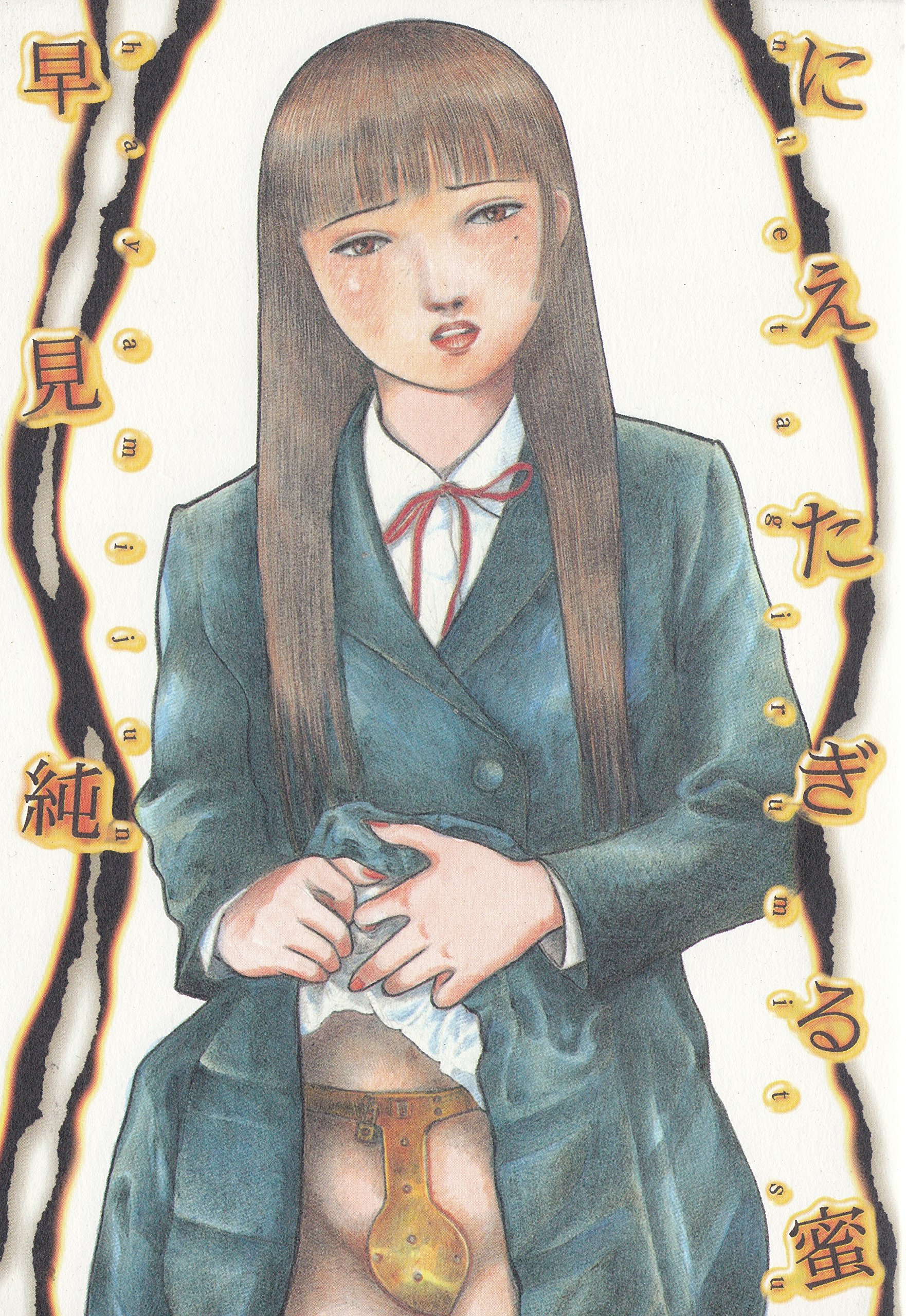 Amazon.co.jp: 早見 純: 本、バイオグラフィー、最新アップデート