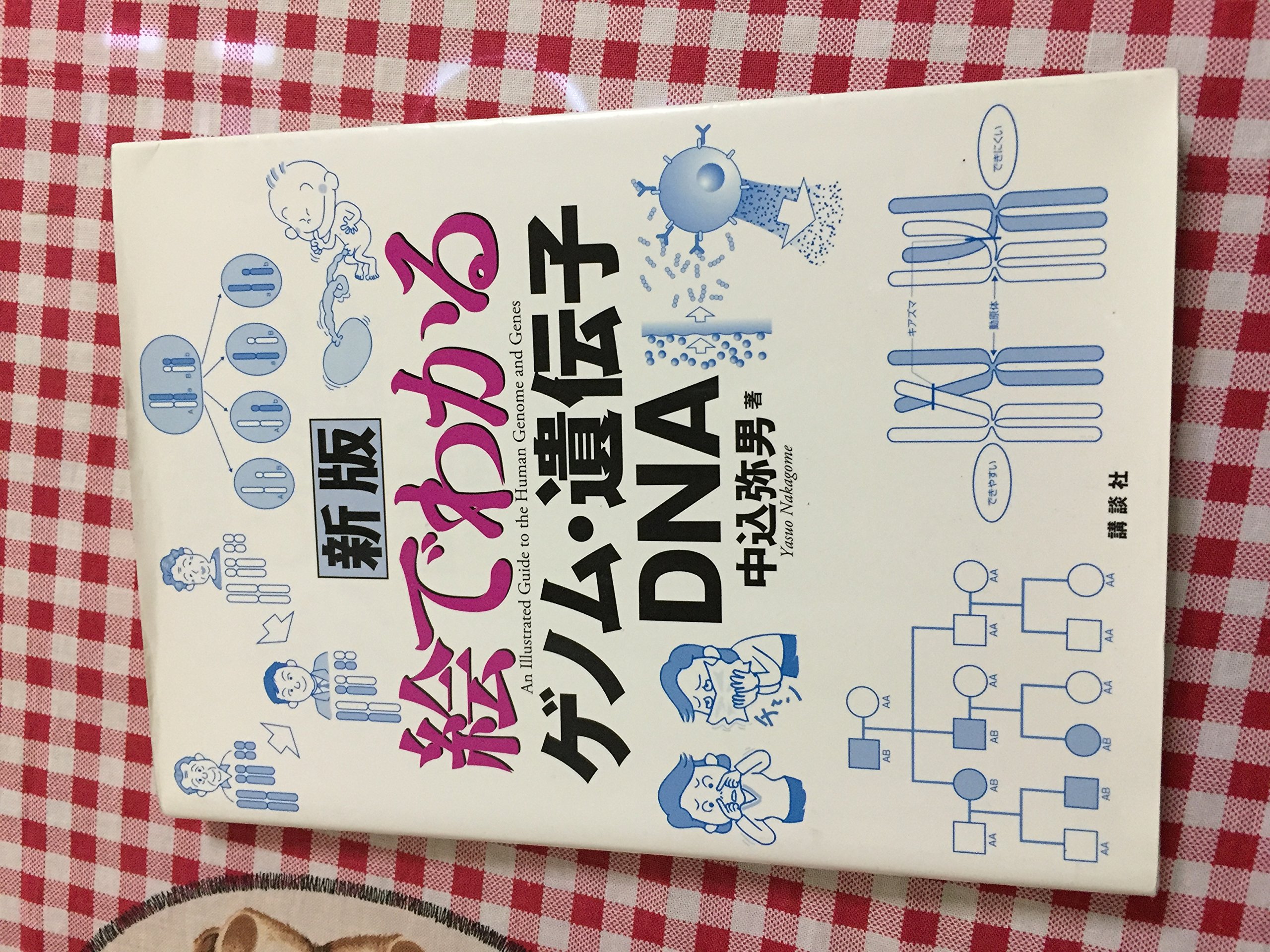 新版 絵でわかるゲノム・遺伝子・DNA (絵でわかるシリーズ) | 中込 弥