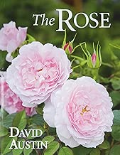 The Rose