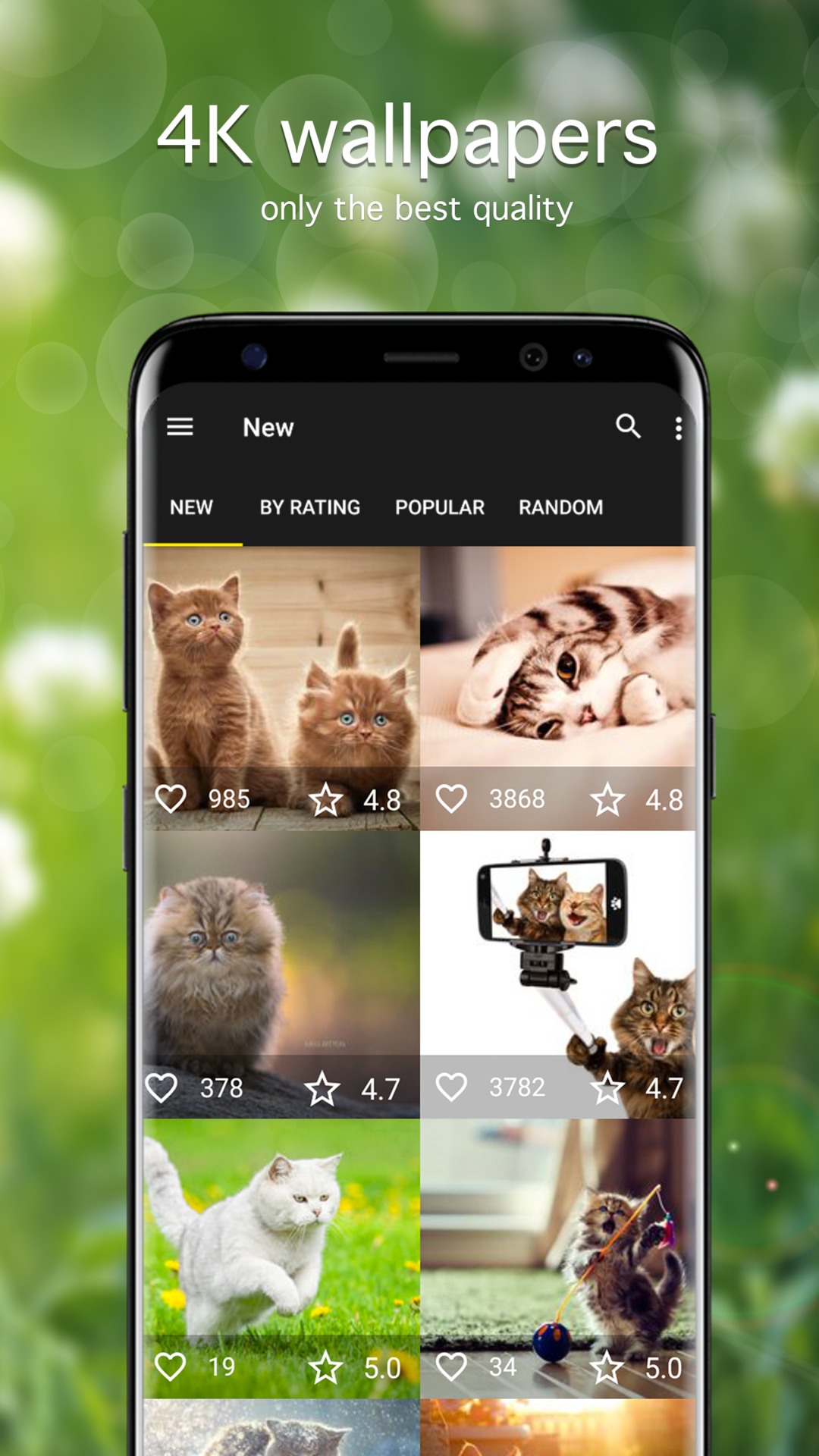 Cat Wallpapers and Backgrounds apps 4K - App on Amazon Appstore