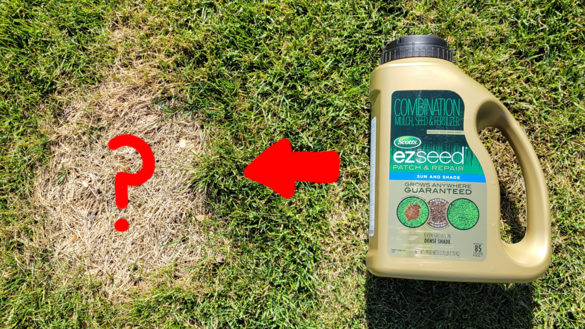Watch Scotts EZ Seed Patch And Repair - Application & Results on Amazon ...