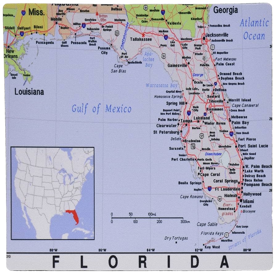 Amazon.com : 3drose Print of Florida Cities and State Map - Mouse Pad, Rubber : Office Products amazon-com-3drose-print-of-florida-cities-and-state-map-mouse-pad-rubber-office-products