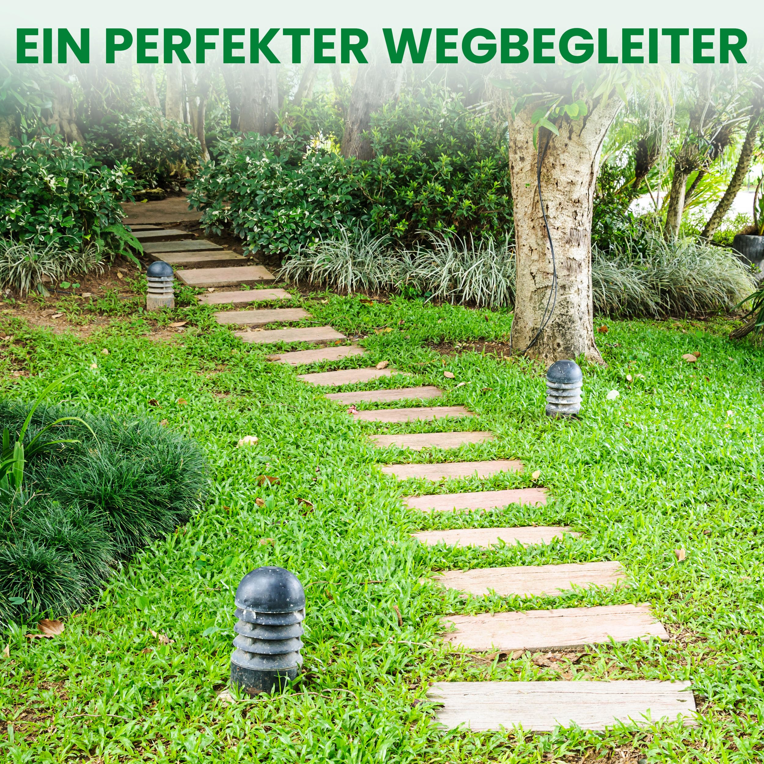 Gartenwelt Riegelsberger Rollweg Lärche 26 × 250 cm Holzweg flexibel | Lärchenholz | Geriffelte Trittflächen | Rollbar | Wetterfest | Für Garten, Rasen, Beete & Wege