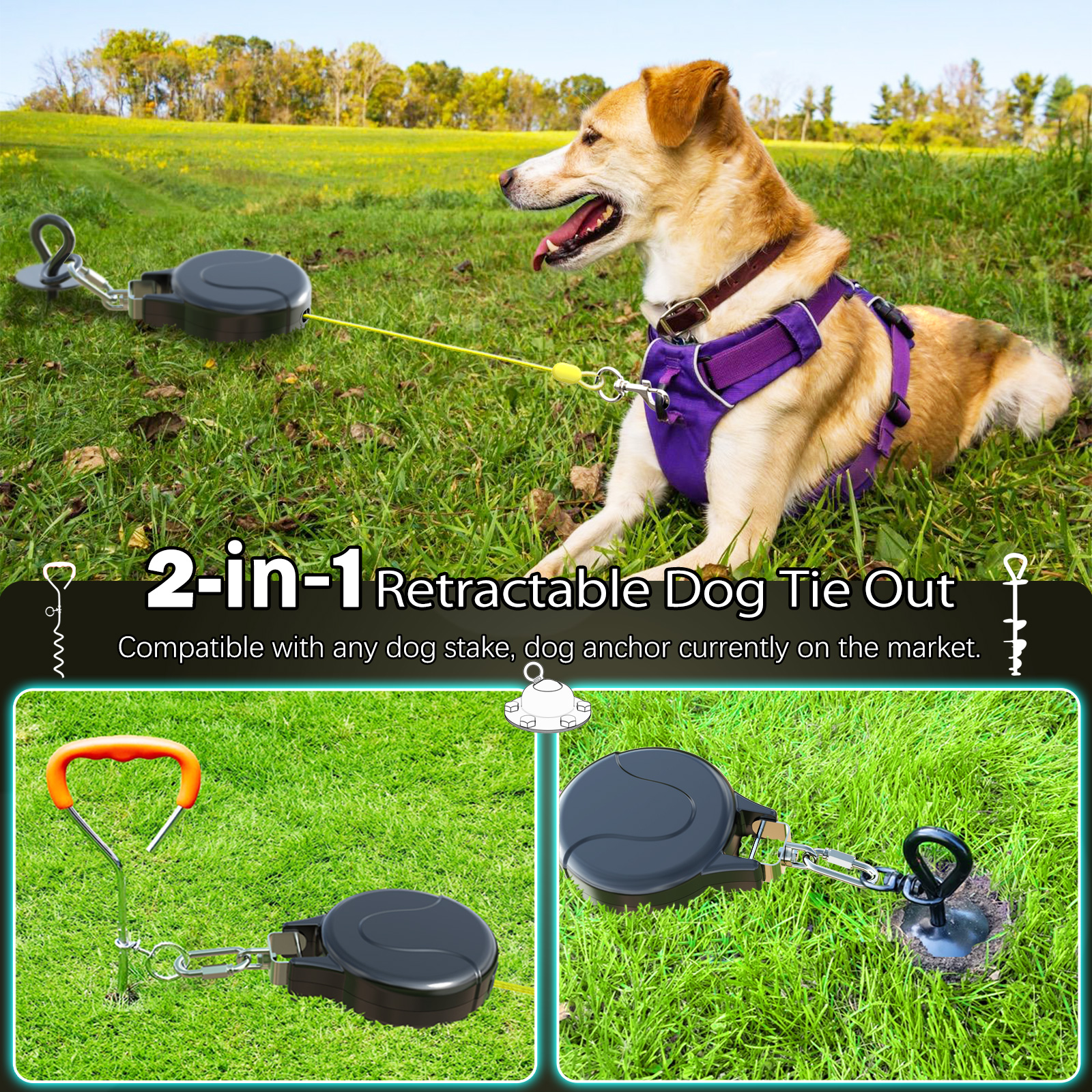 Amazon.com: Dog Tie Out Cable and Stake 360° No Tangle Heavy Spiral Yard  Stake and Retractable Dog Leash for Dogs Up to 10-90 lbs, 30ft Dog Chain  for Outside Yard Camping Park (