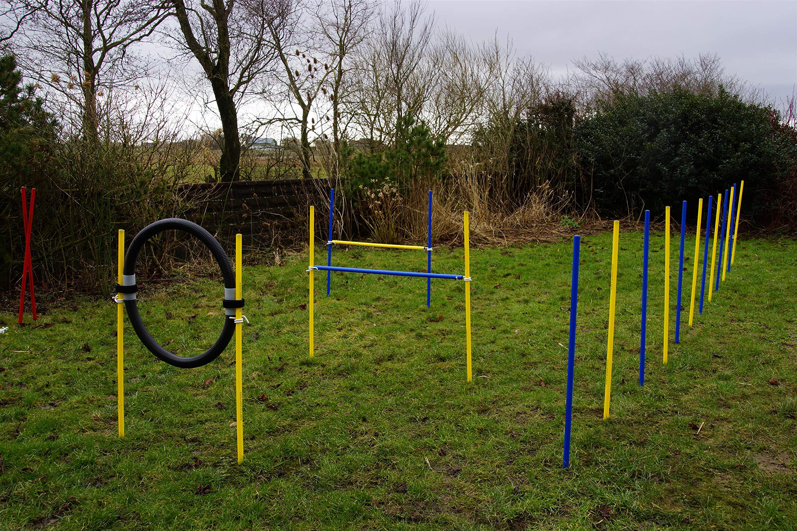 AGILITY-ÜBUNGS-ANFÄNGER-SET BLAU/GELB SPRUNGRING / SLALOM / HÜRDEN