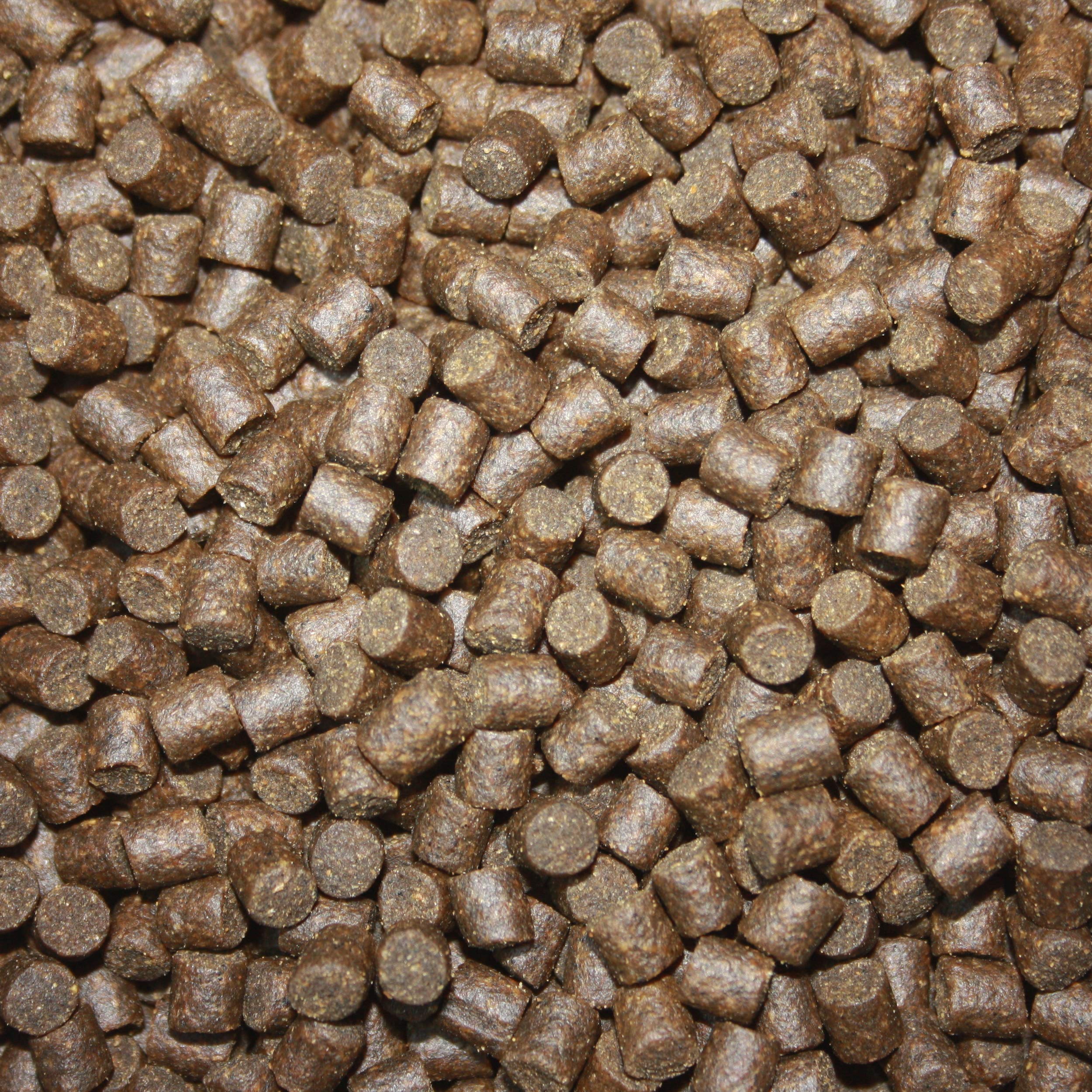 Störfutter, Sinkfutter, Energiefutter Stör, Kraftfutter, sinkendes Aufzuchtfutter für Störe, perfekt für jede Jahreszeit, hochverdaulich, arktische Rohstoffe, Tomodachi Premium Störsinkfutter 6mm 15kg