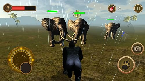 Wild Gorilla Simulator – vue 3
