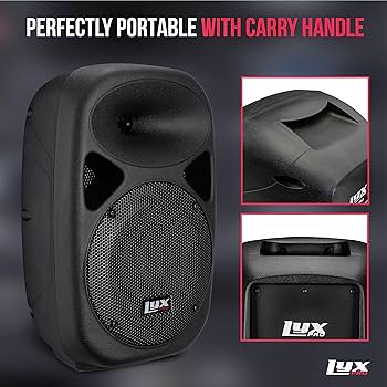 Amazon | LyxPro 10インチ パッシブ DJ PAスピーカーシステム