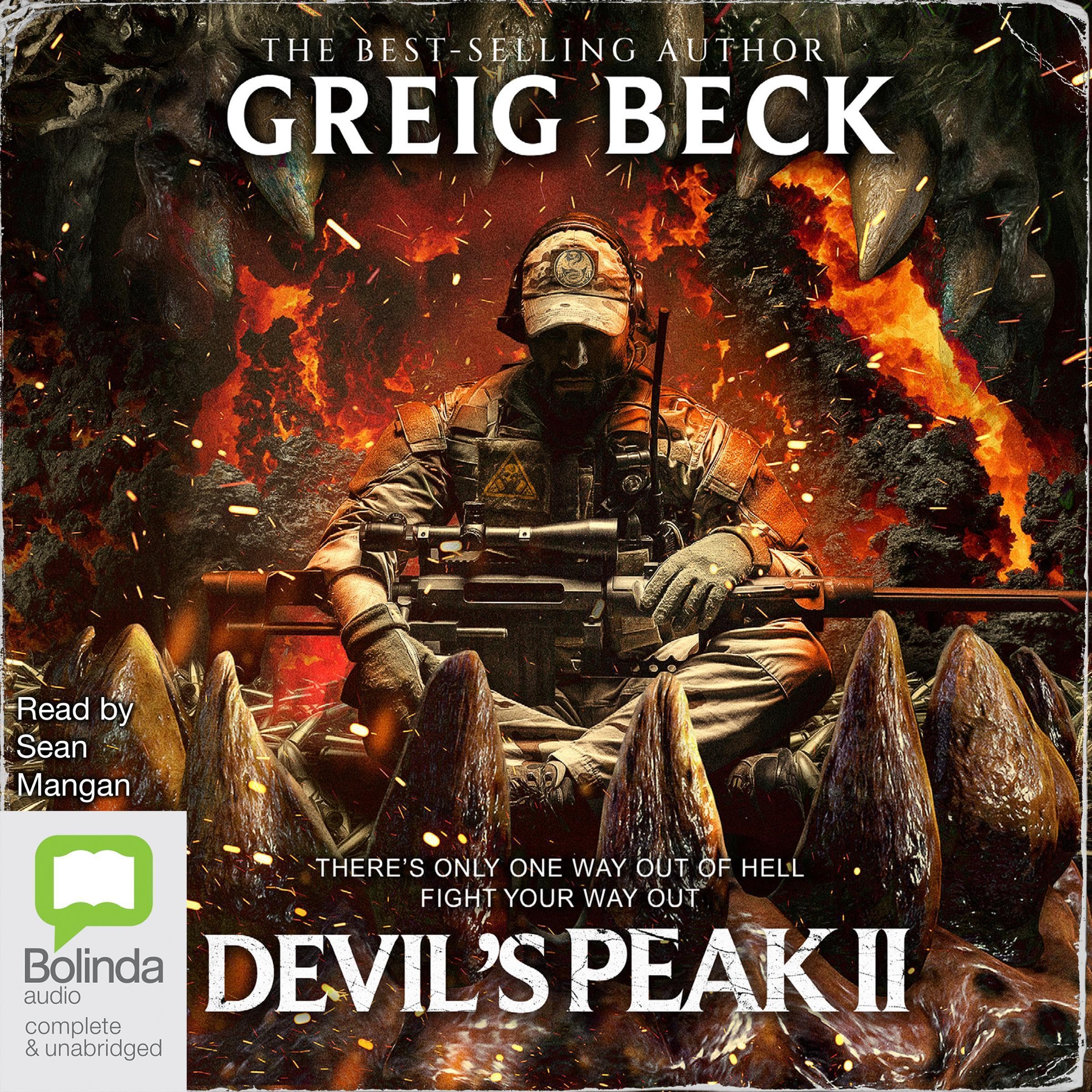 Cover art for The Devil's Peak II