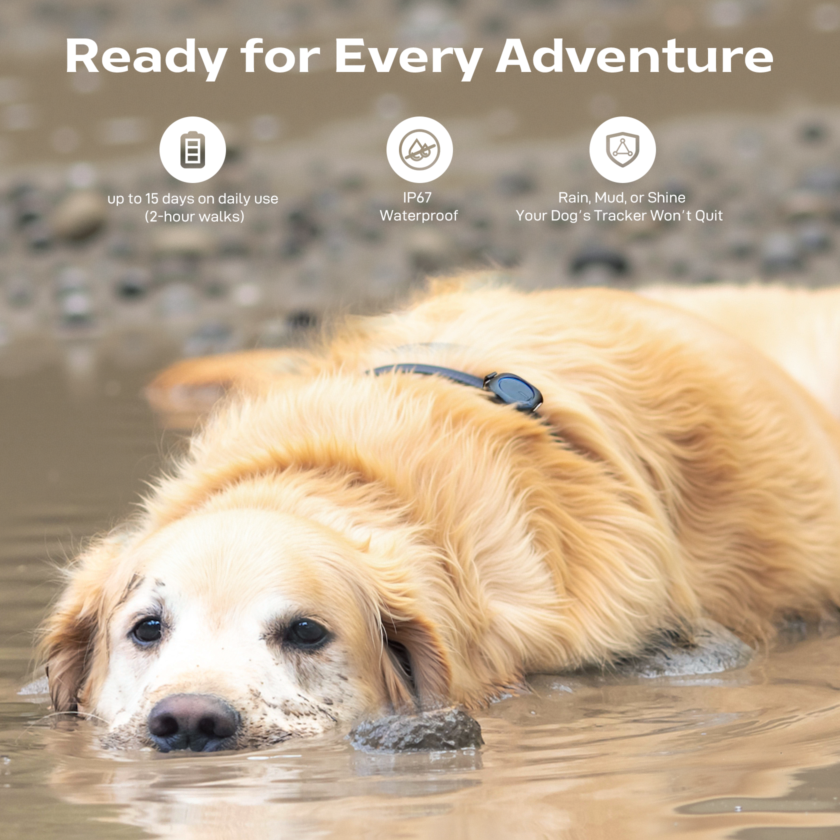 Amazon.com: Aorkuler GPS Dog Tracker – No Phone, No Signal, No