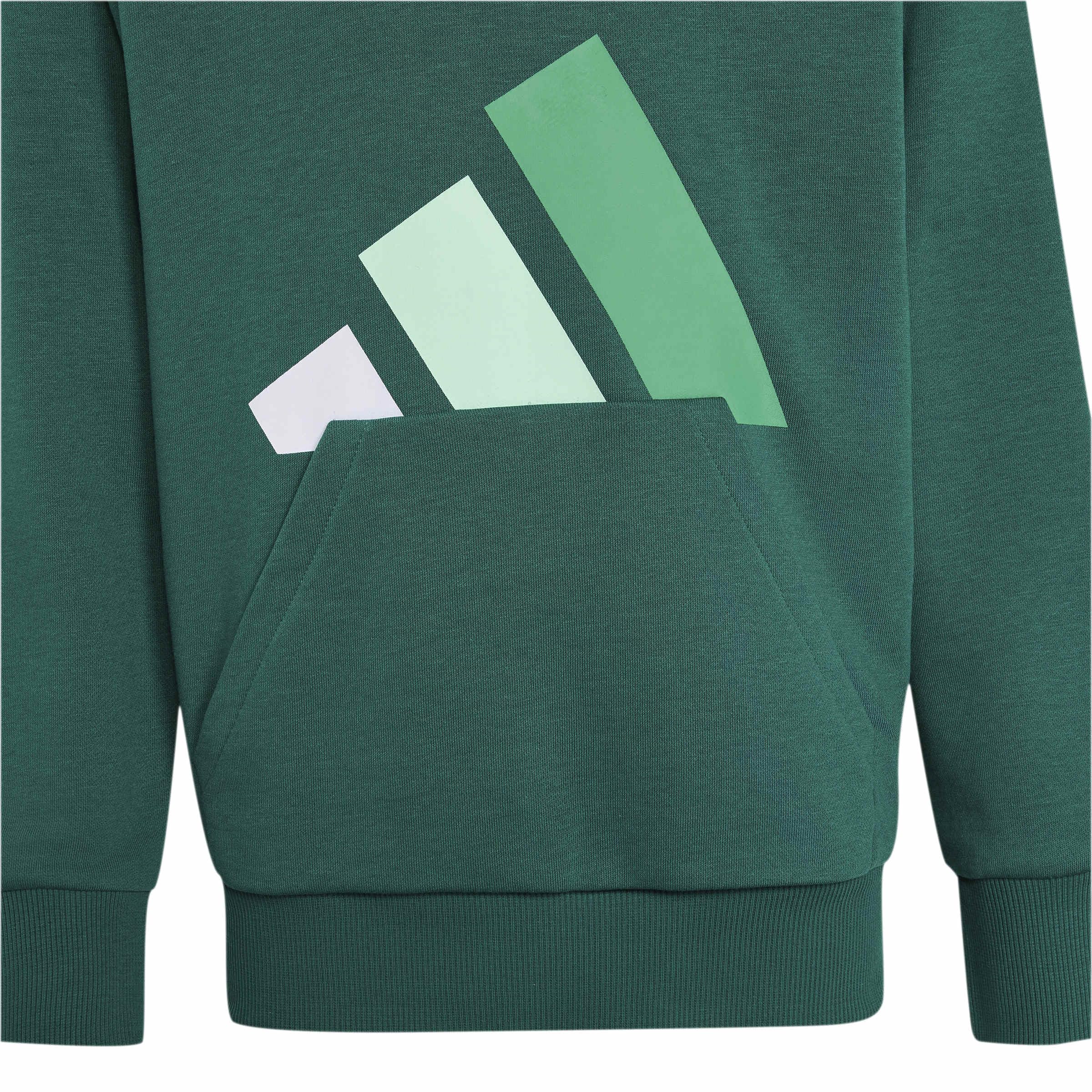 adidas Uniseks - dzieci Essentials Big Logo Hoodie Sweatshirt, collegiate green/white/clear mint/court green, 15-16 Years