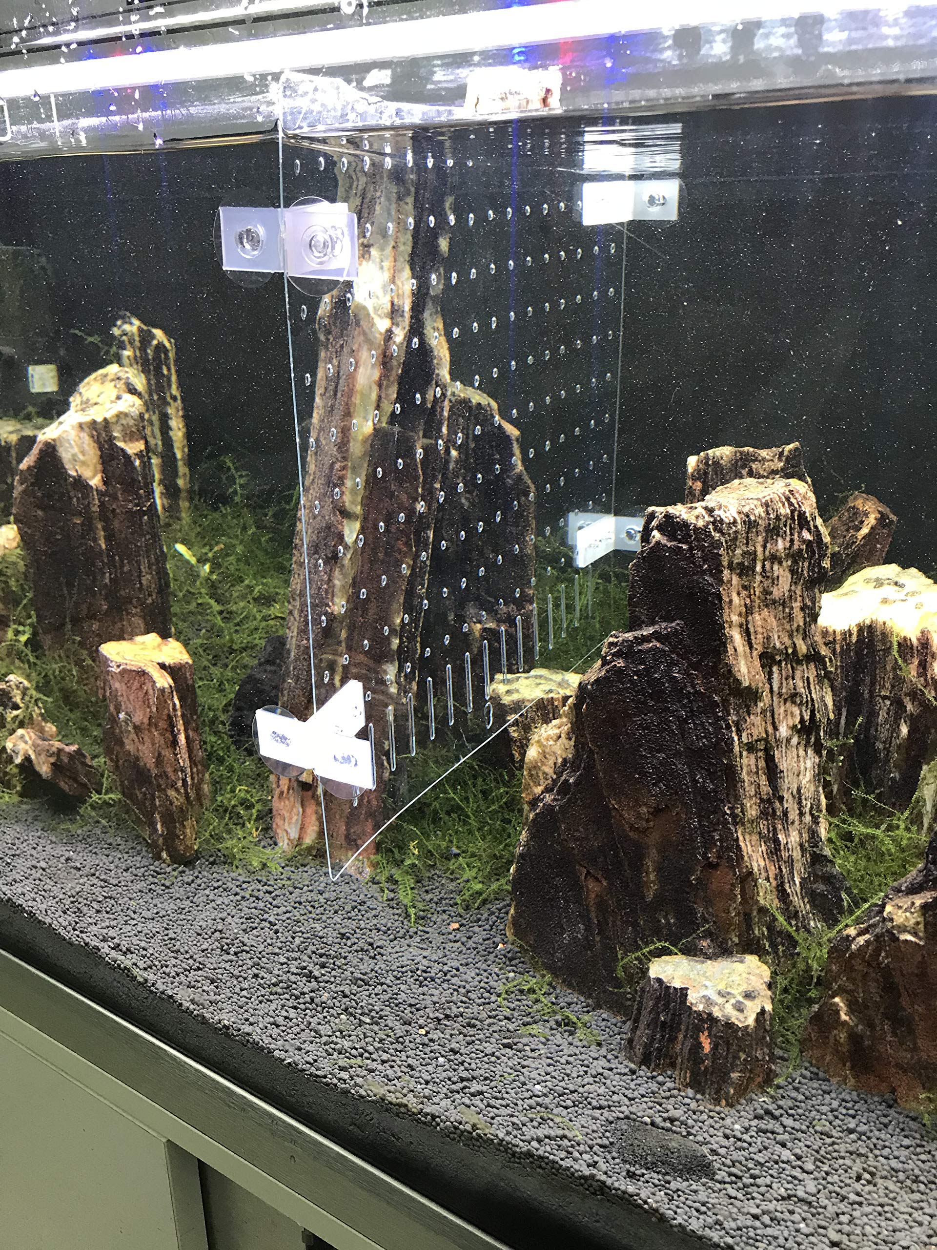 divisori per vasche divisori per acquari per coltivazione mista in PET/PETP Fish Tank Divider