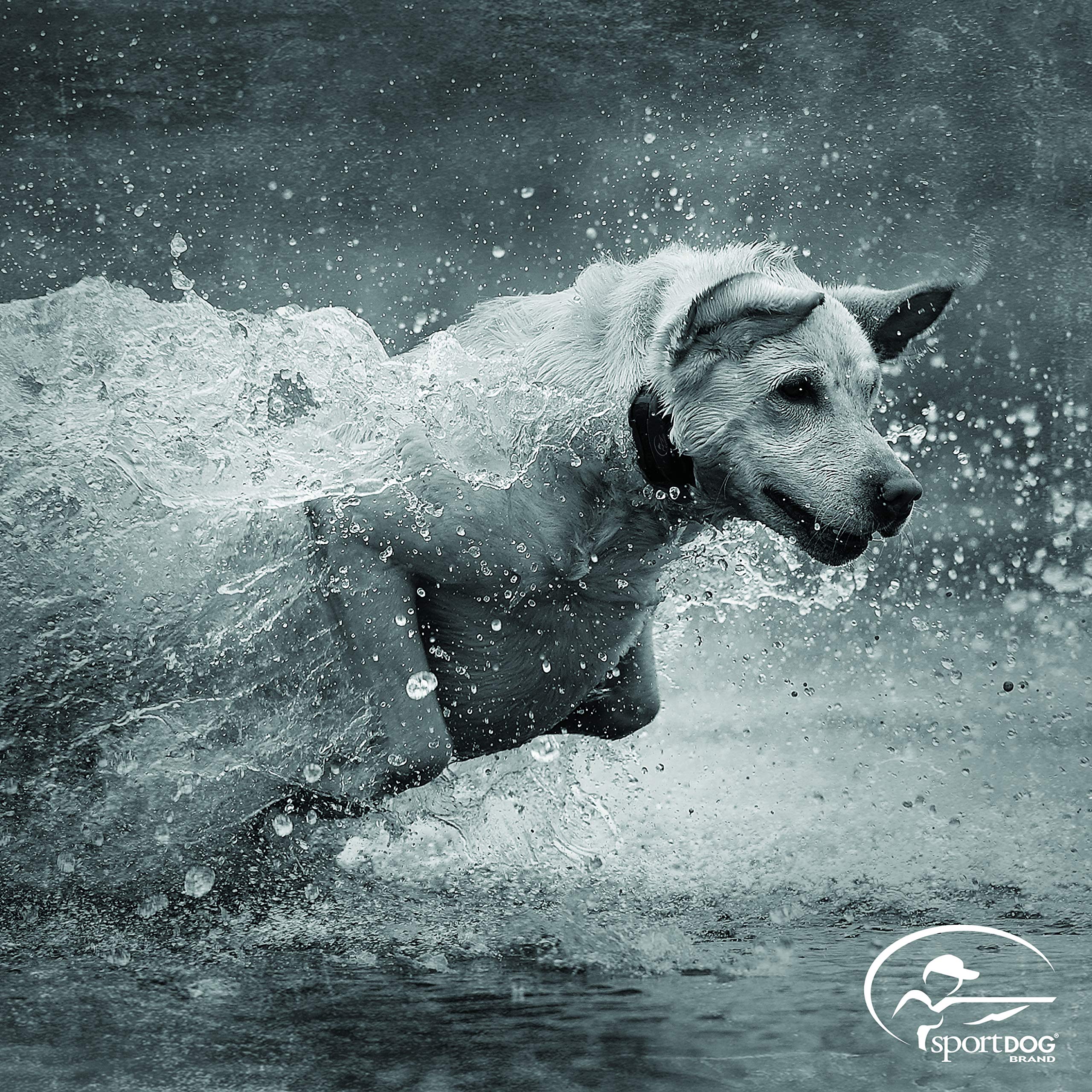 PetSafe SportDOG TEK Série 2.0 Add-A-Dog Collier GPS pour Chien