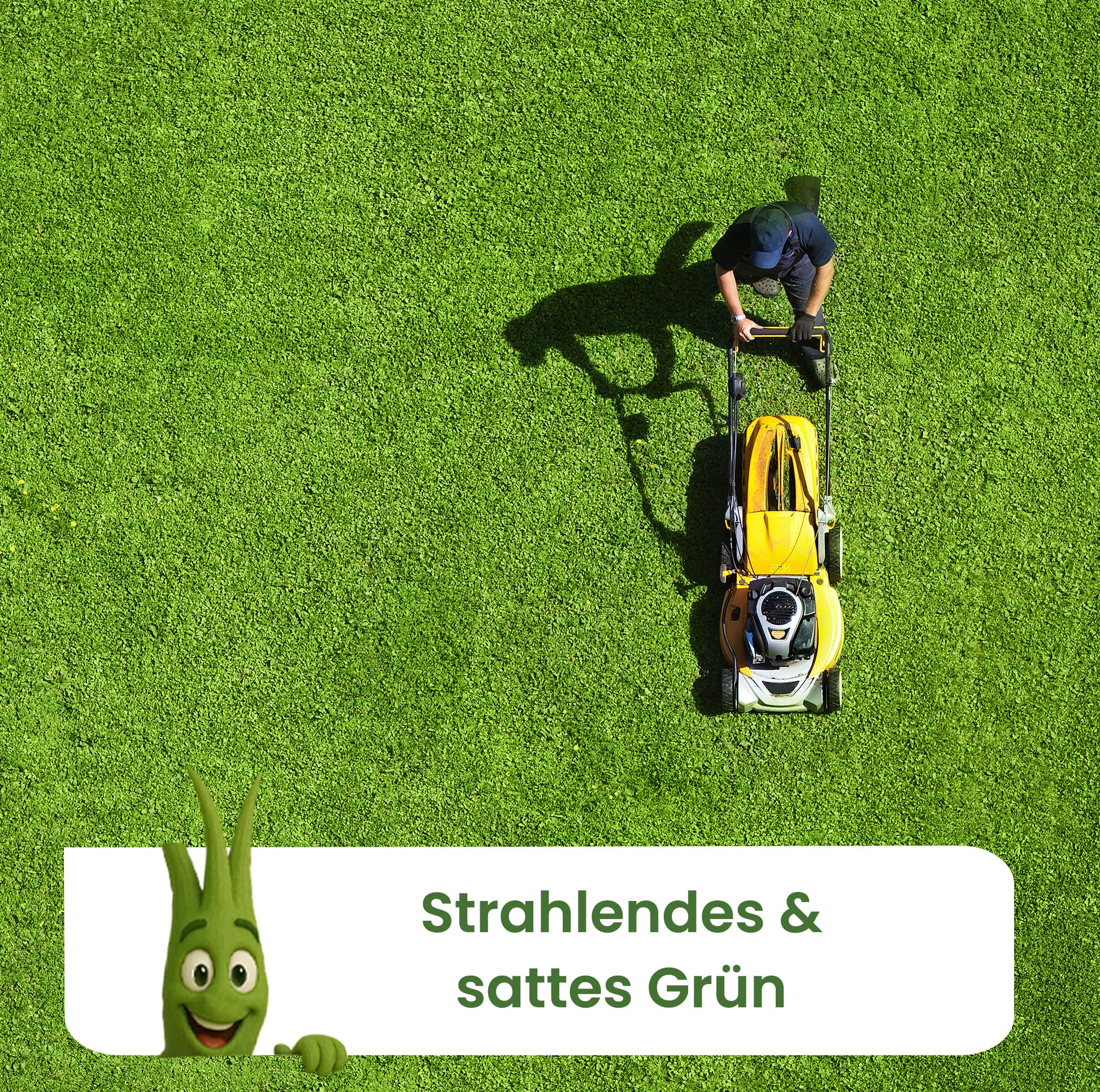 Grünling A&G-heute 25kg Eisendünger Granulat Rasendünger | Eisen-2-Sulfat | Frühjahr Herbstbeginn | Für ca. 1000m² Rasenfläche für sattes kräftiges dichtes Grün