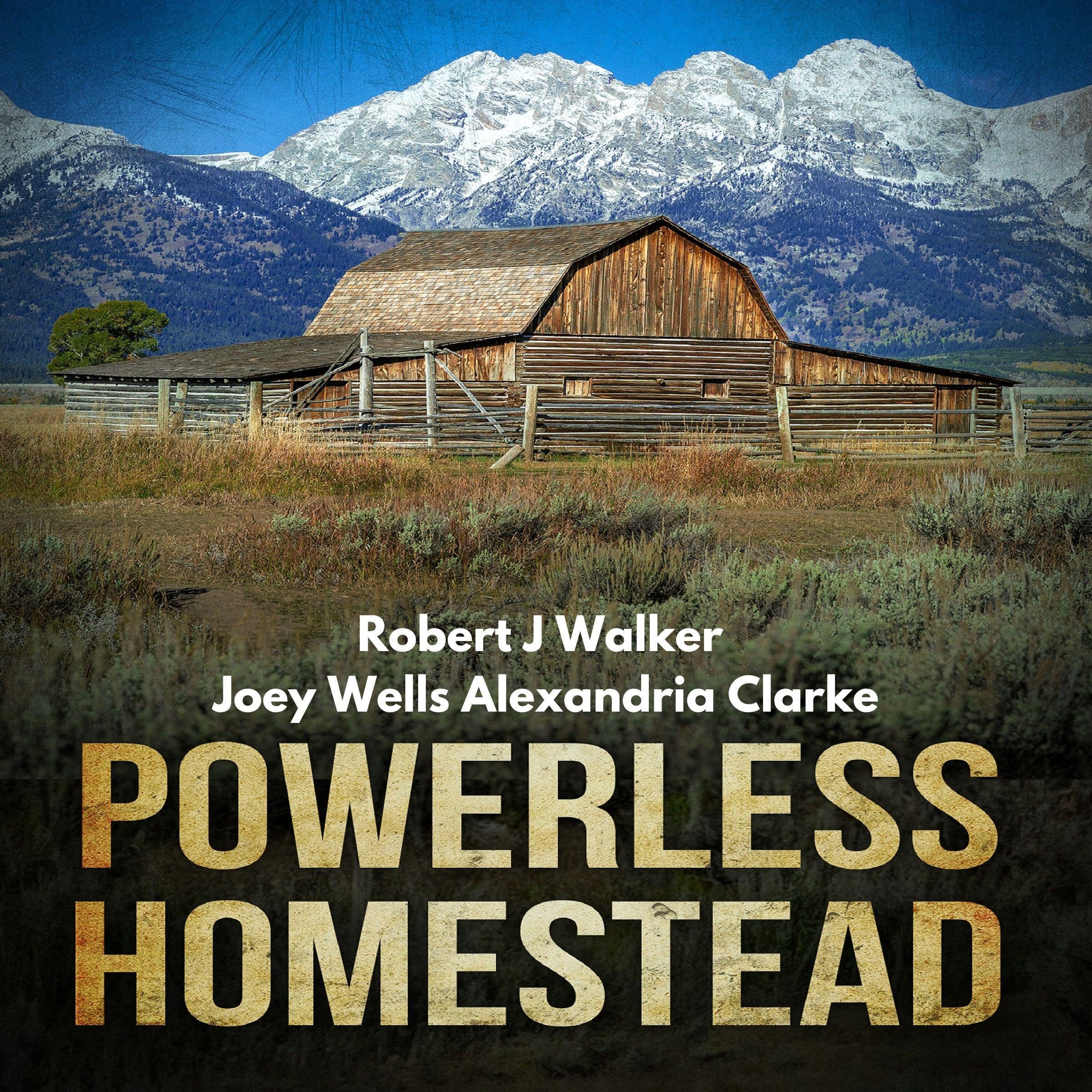Cover art for Powerless Homestead