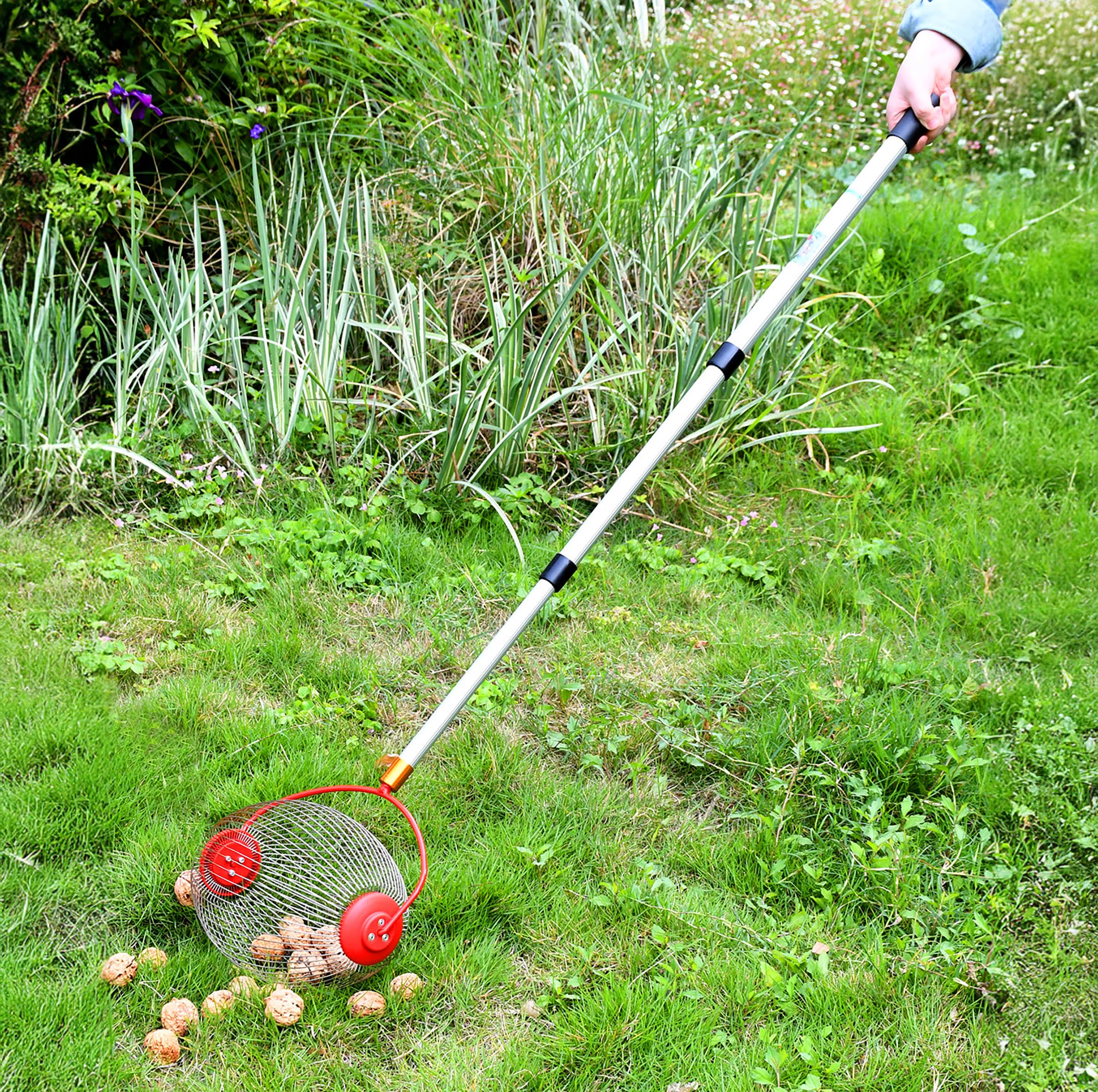 Spetebo Rollsammler Nusssammler Obstsammler mit Alu Teleskopstiel 120 cm | Großer Erntekorb, Äpfel Birnen Kastanien, Nüsse, Tennisball Golfball