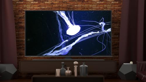 Aquarium de poissons tropicaux - Téléviseur récifal 4K Relax – vue 4