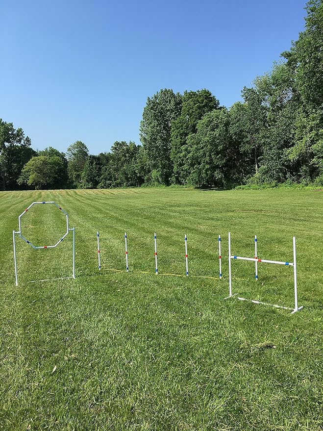 Dog Agility Training Equipment Course Set, Weave Poles