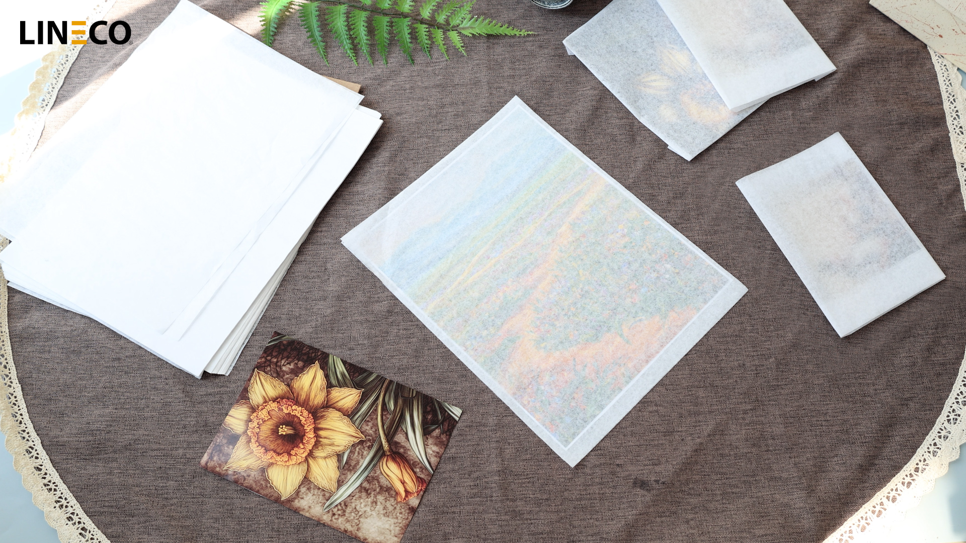 Amazon.com: Lineco Buffered Acid-Free Interleaving Tissue 11