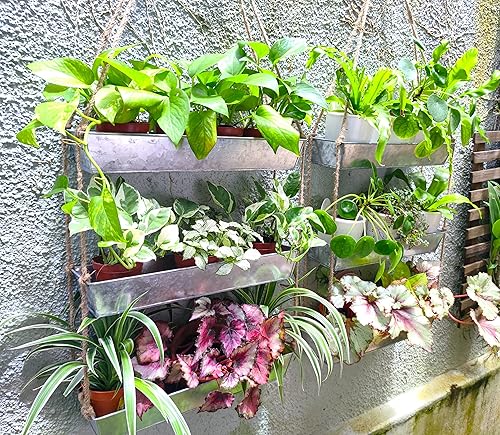 Miniatura 5 de LaLaGreen - Maceta colgante de pared de 16 pulgadas, macetas de 3 niveles para suculentas, ventana de metal plateado para hierbas, jardín,