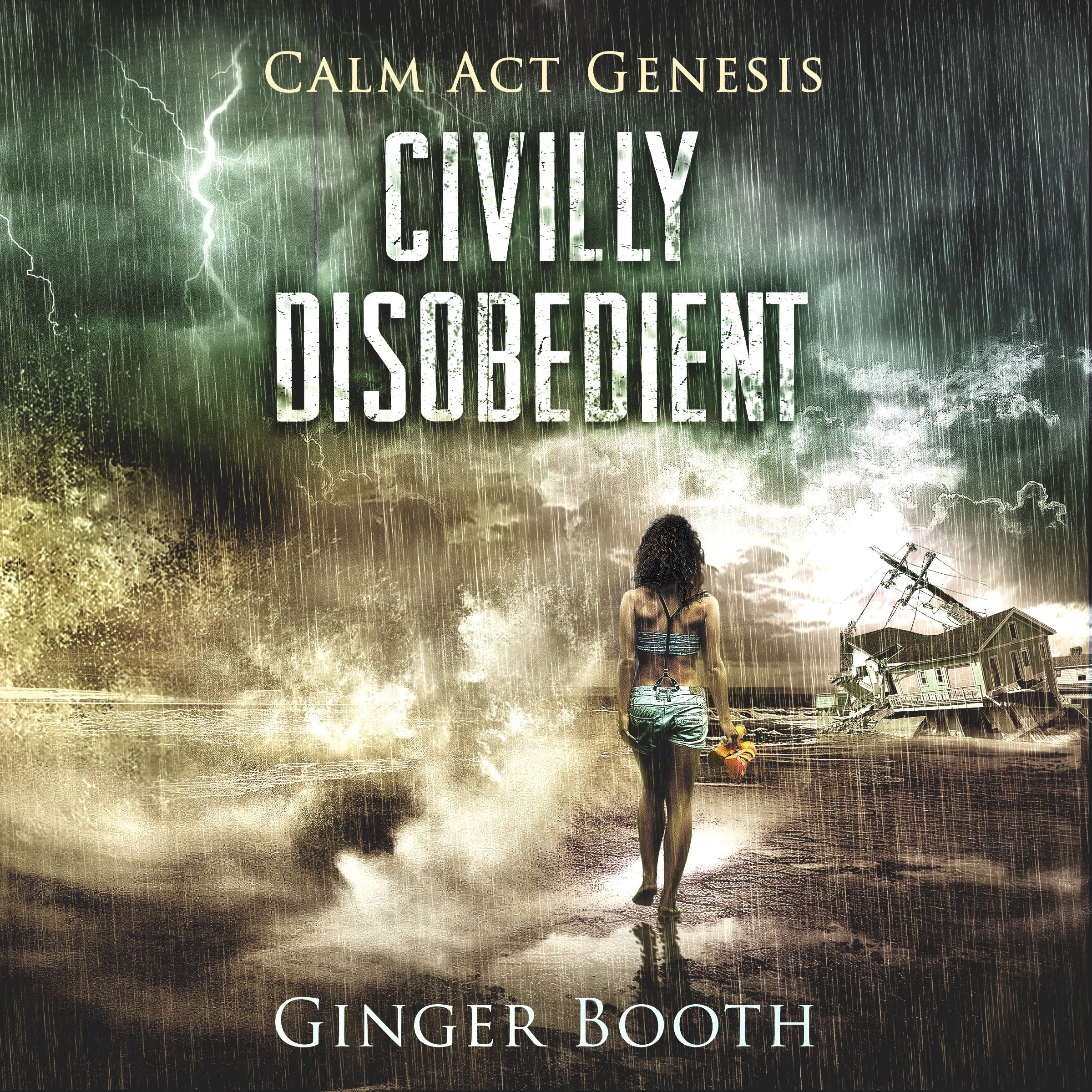 Cover art for Civilly Disobedient
