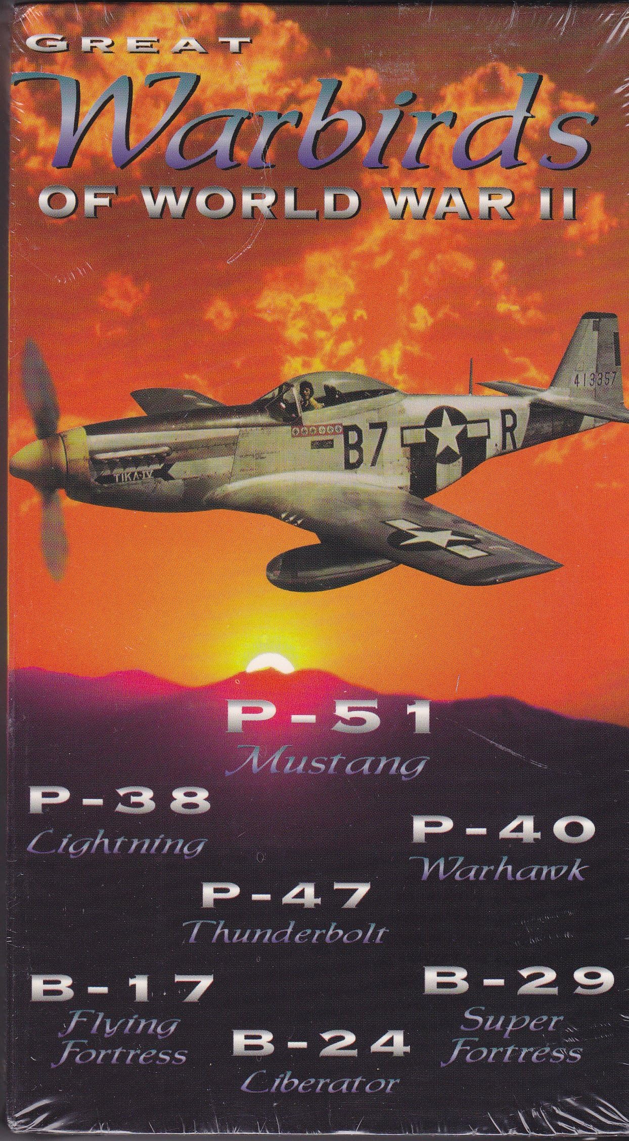 Great Warbirds of World War II: P-51 Mustang, P-38 Lightning, P-40 Warhawk, P-47 Thunderbolt, B-a7 Flying Fortress, B-24 Liberator, & B-29 Super Fortress