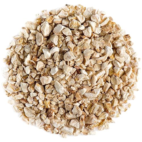 Ginseng coreano Panax Ginseng - Ginseng blanco asiático de calidad - Jinsang Ginseng Corea Ginseng Té de ginseng coreano Ginsing Gensing Gingsen