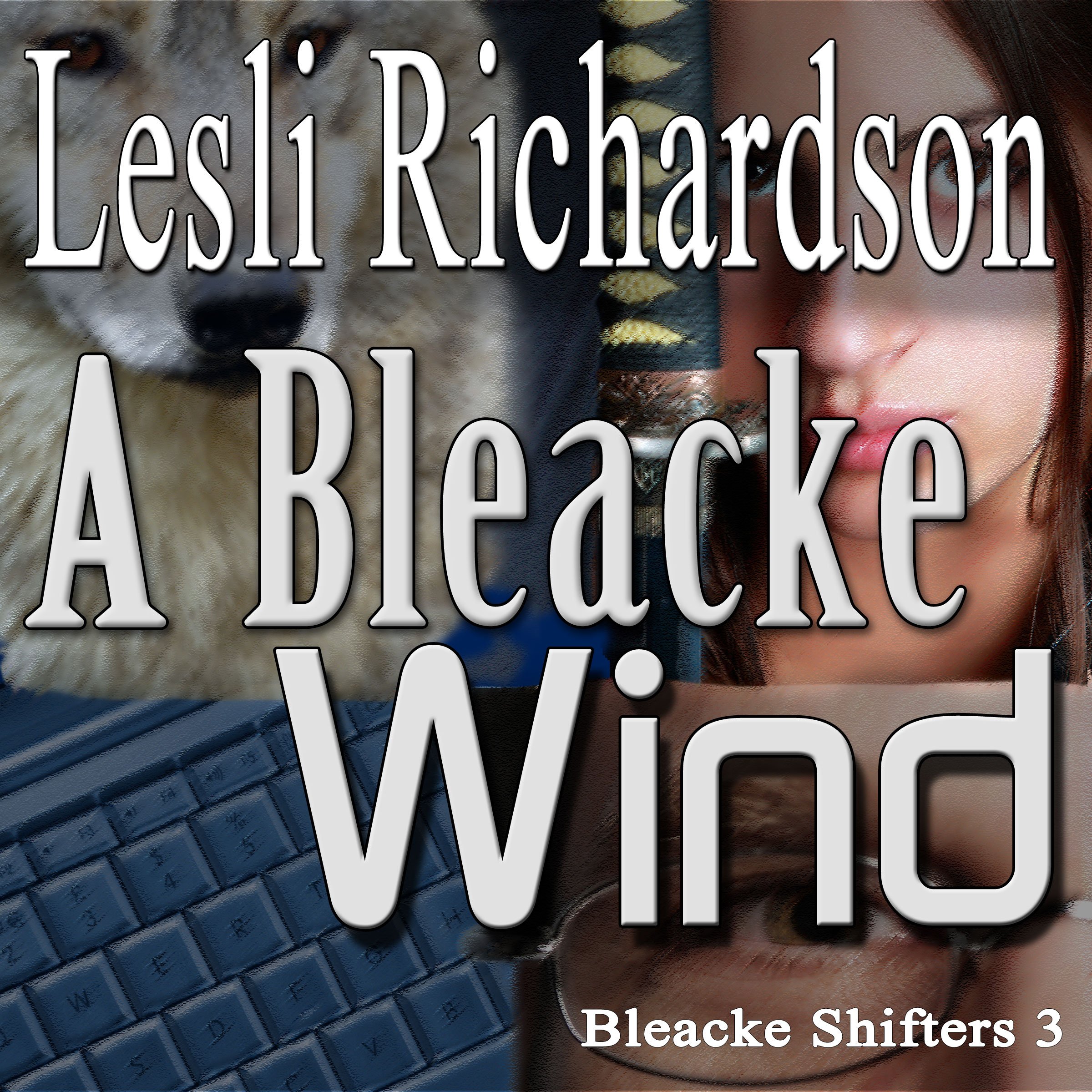 Cover art for A Bleacke Wind