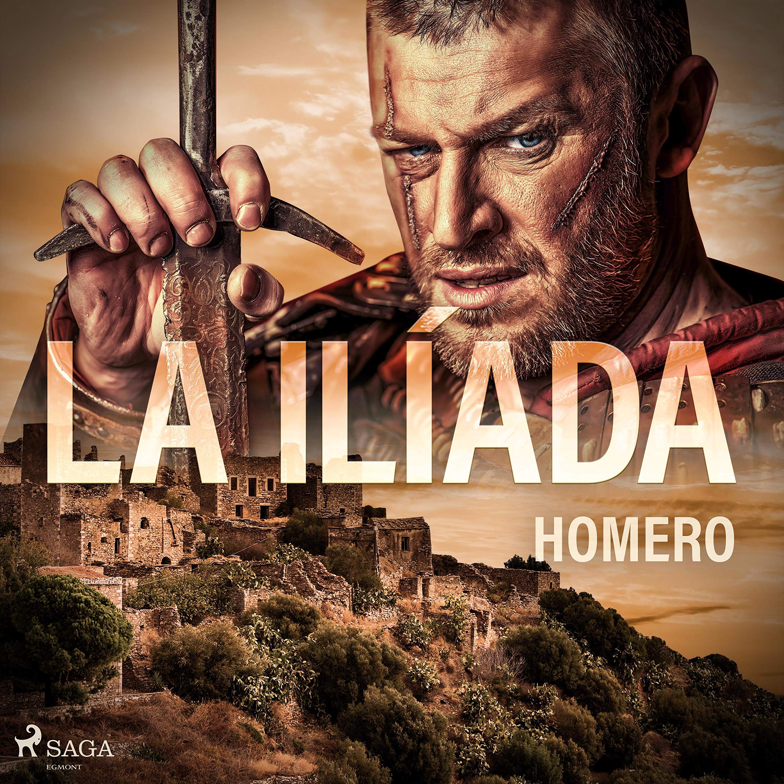 Cover art for La Ilíada