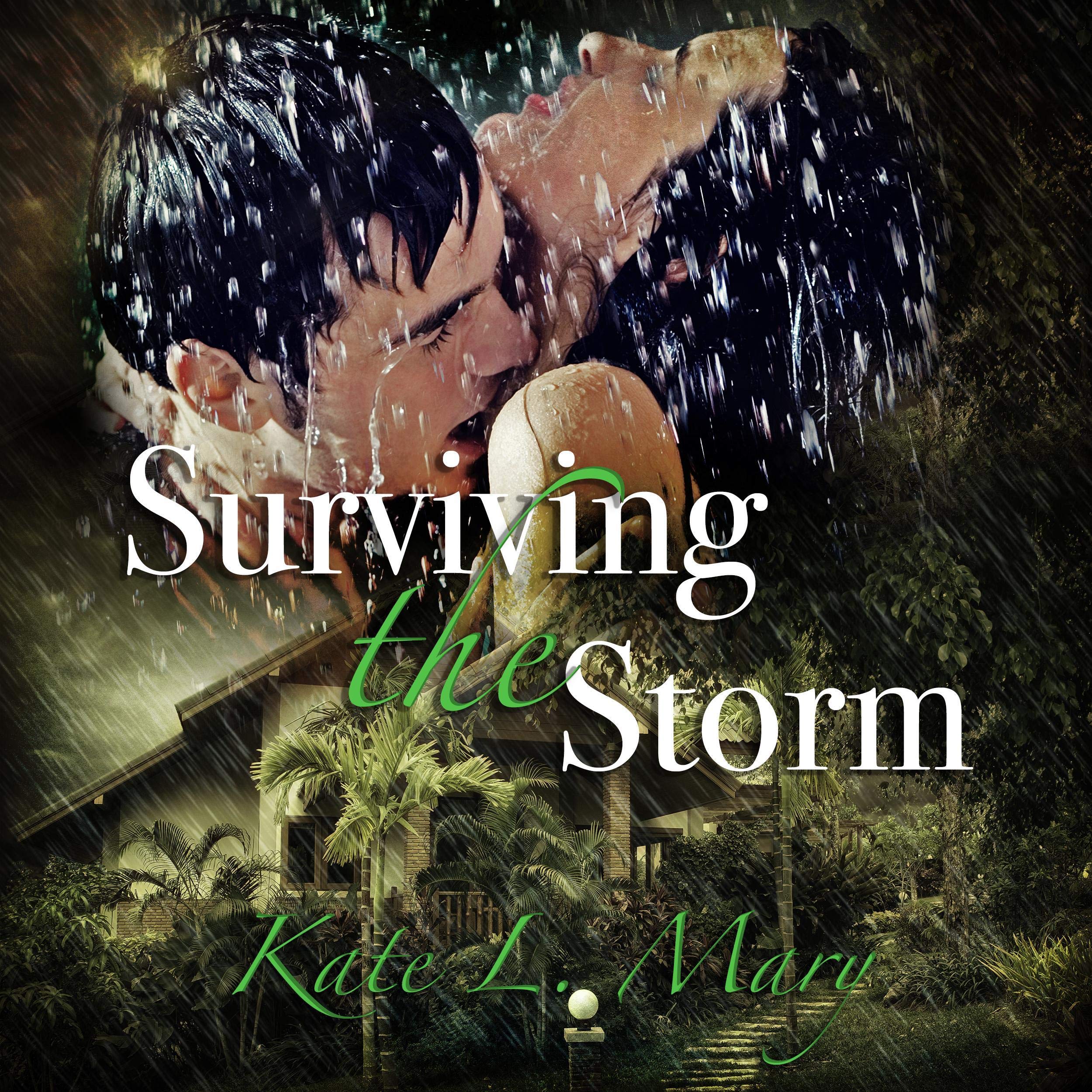 Cover art for Surviving the Storm