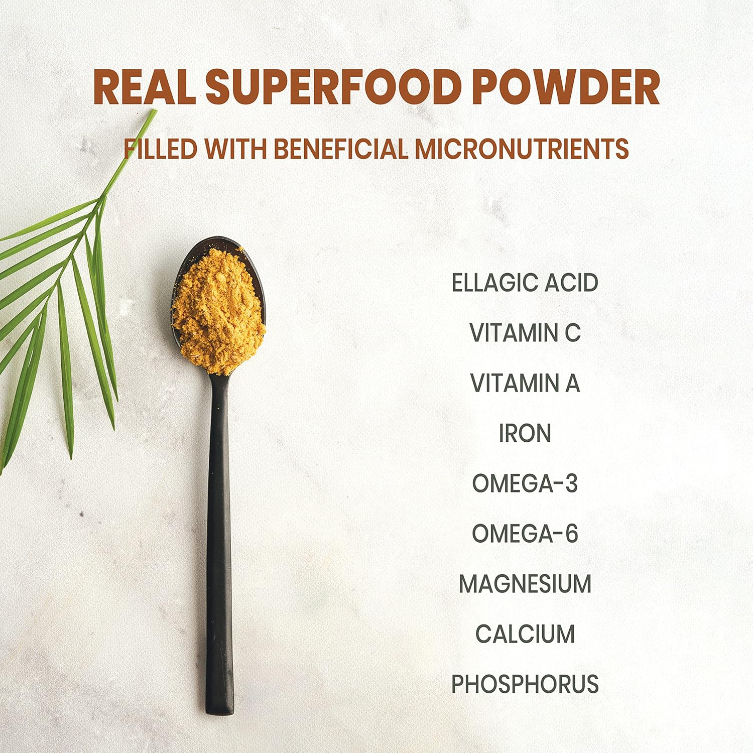 Jungle Powders Wild Cloudberry Powder for Smoothies Baking Jam 3.5 Ounce Bag Pure Nordic Freeze Dried Cloudberry Extract No Sugar Added, No Additives or Fillers Knotberry Powder for Flavoring