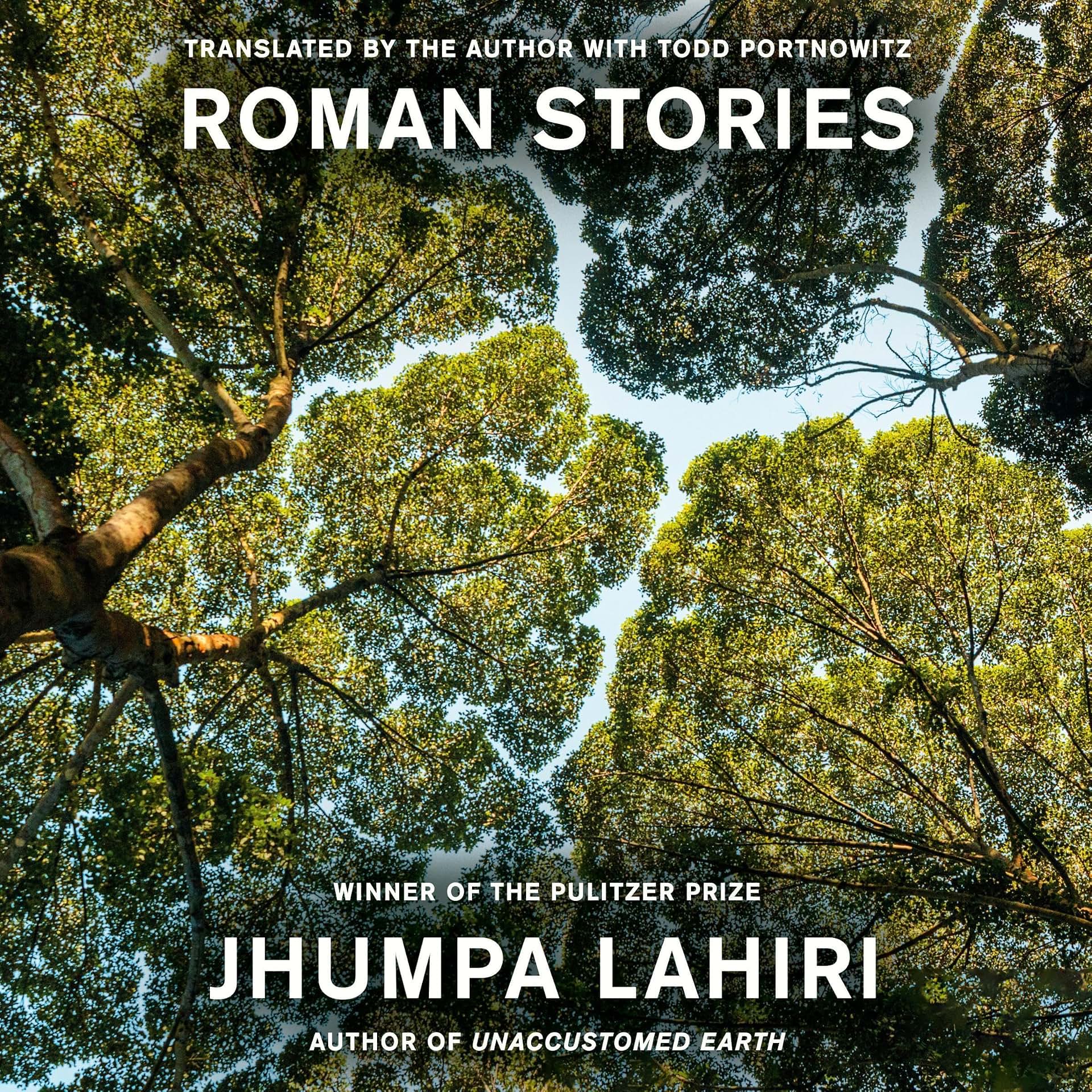 Carousel Item: Roman Stories