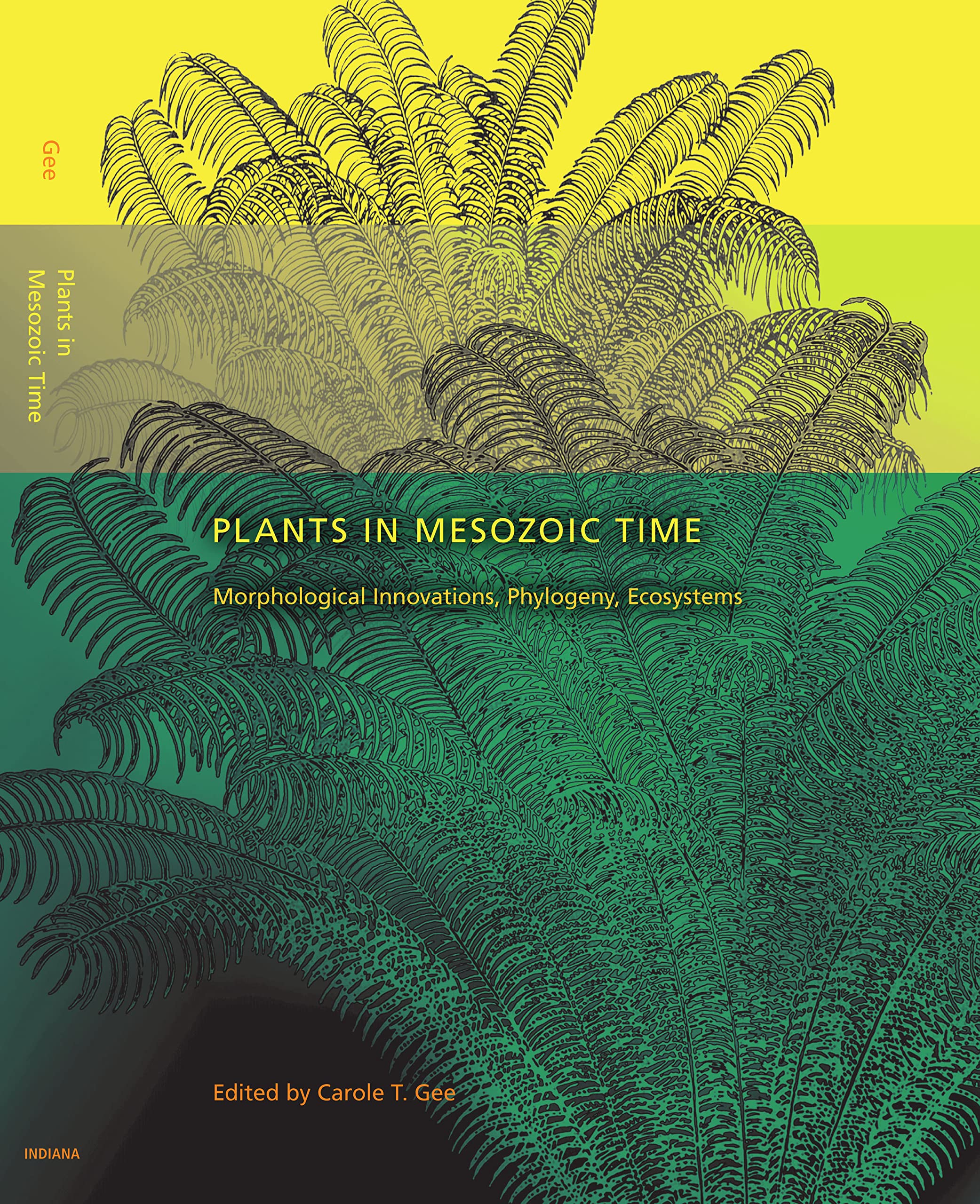 Plants in Mesozoic Time - 9780253354563