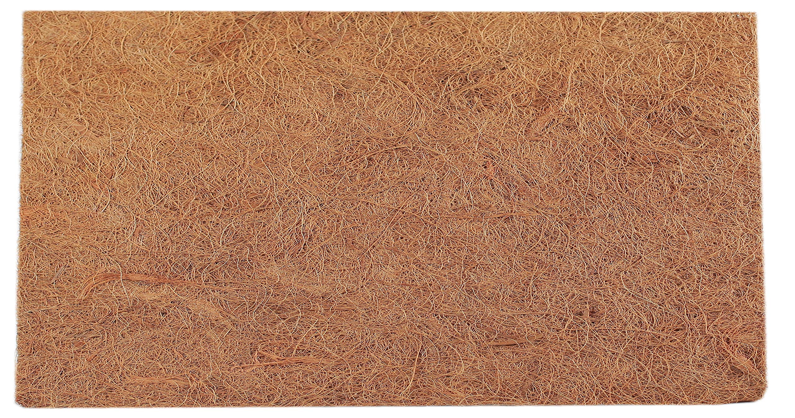 TropicShop Paroi arrière en coco/fibre de coco naturelle pour terrariums | Tapis en coco (environ 50 x 100 cm)