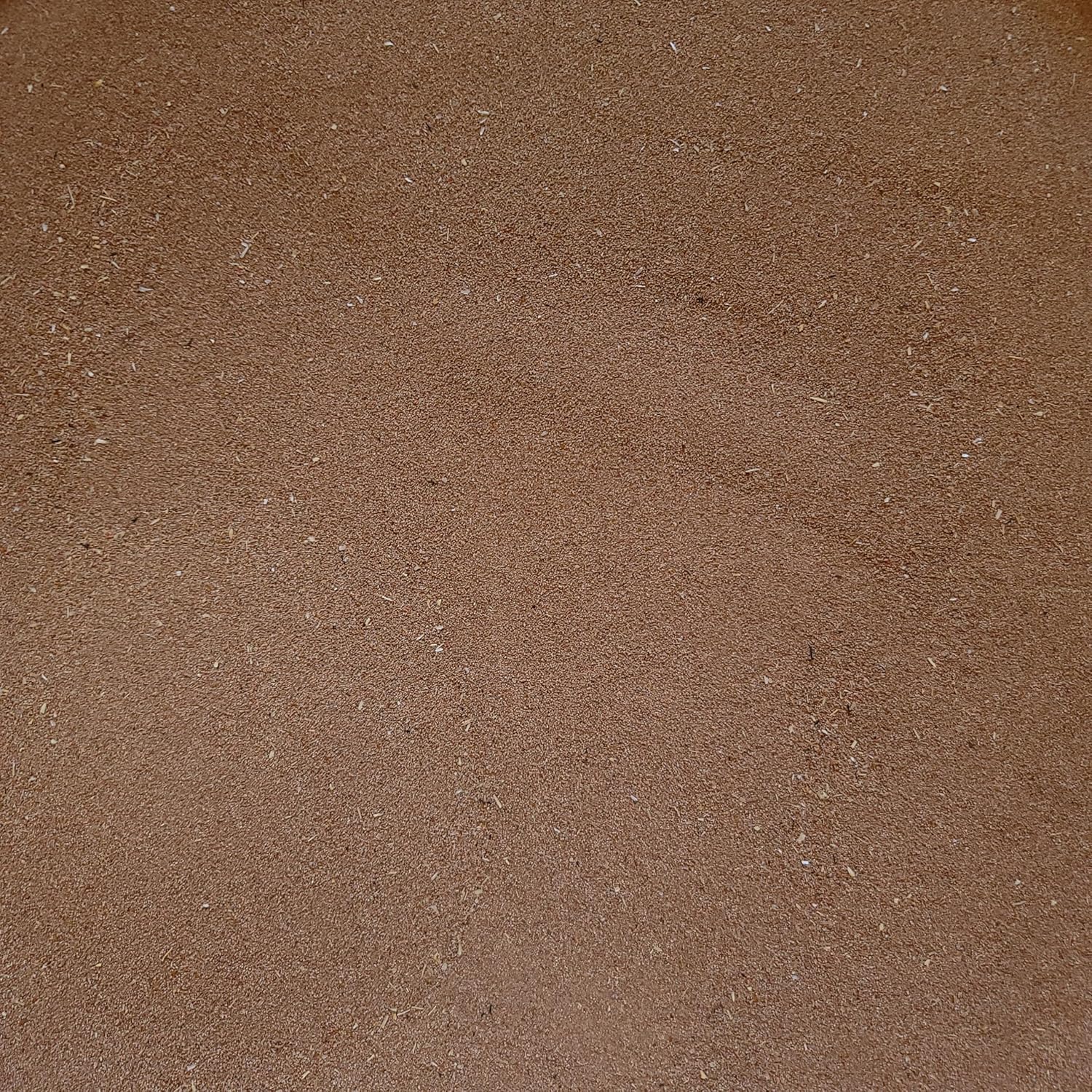 Mealworm Frass Fertilizer