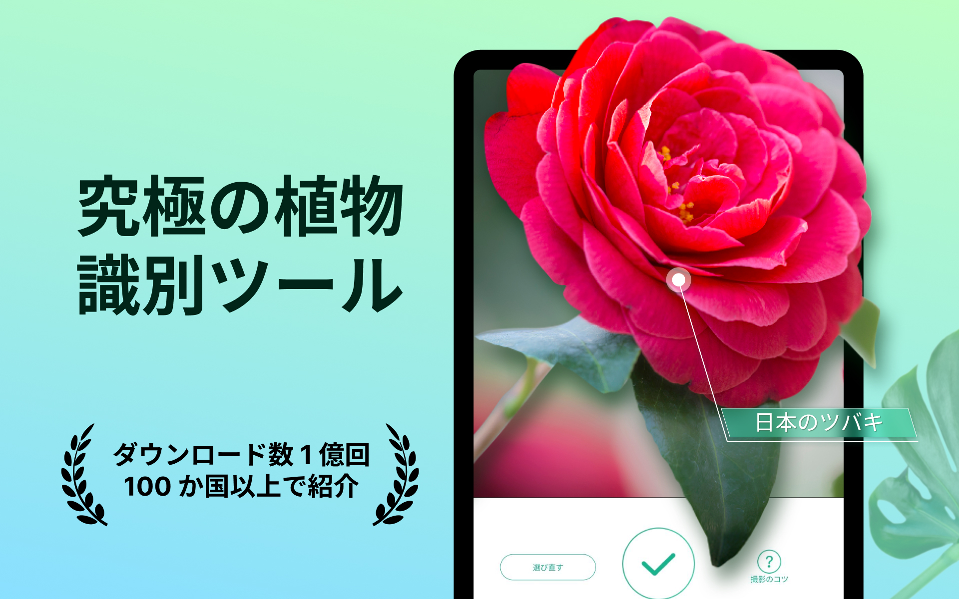 きよら様　確認用ページ　ピクチャーデイズも在庫あれば追加予定 Amazon.co.jp: 【外付け特典あり】 堕天 (期間生産限定盤)(初回
